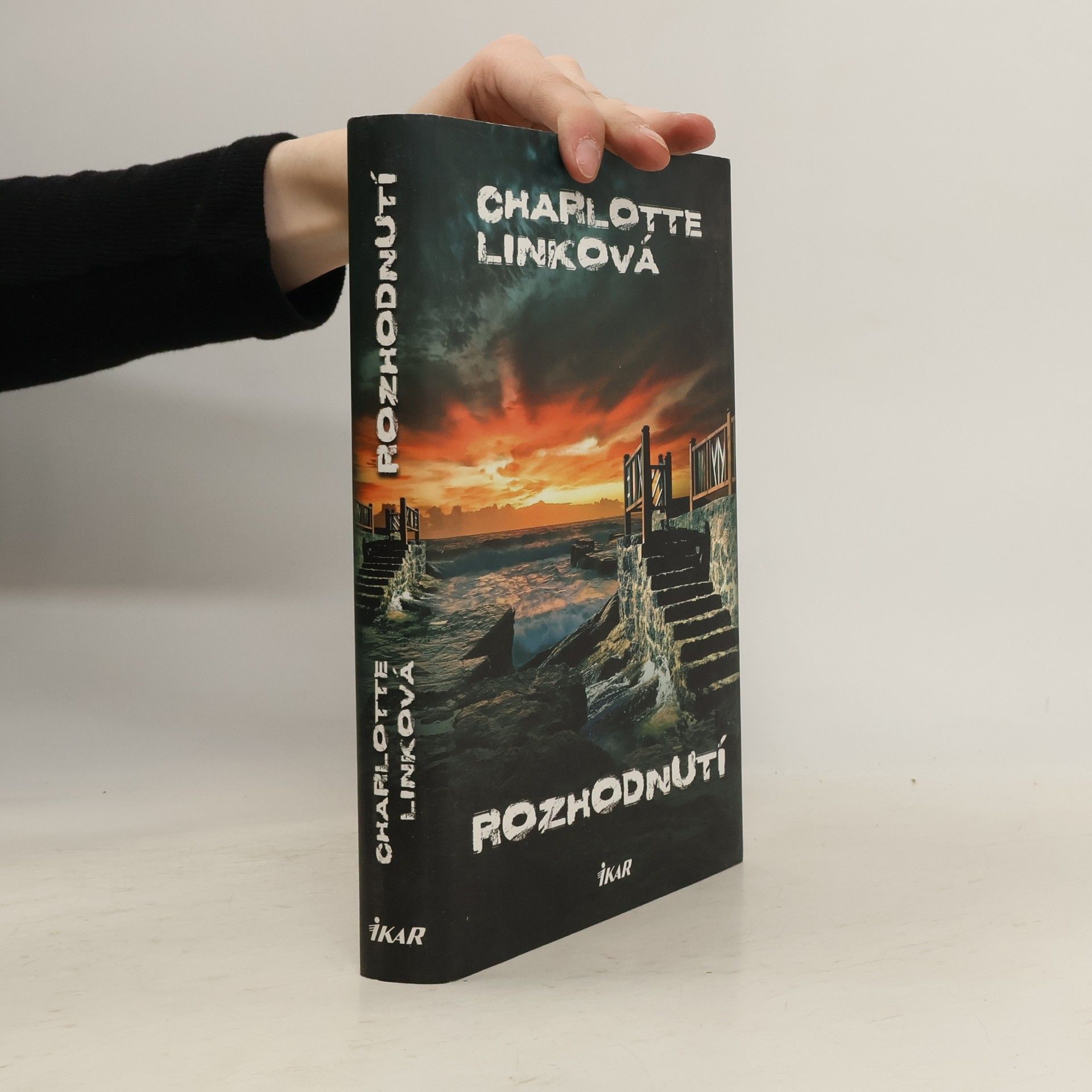 Charlotte Link Rozhodnutí