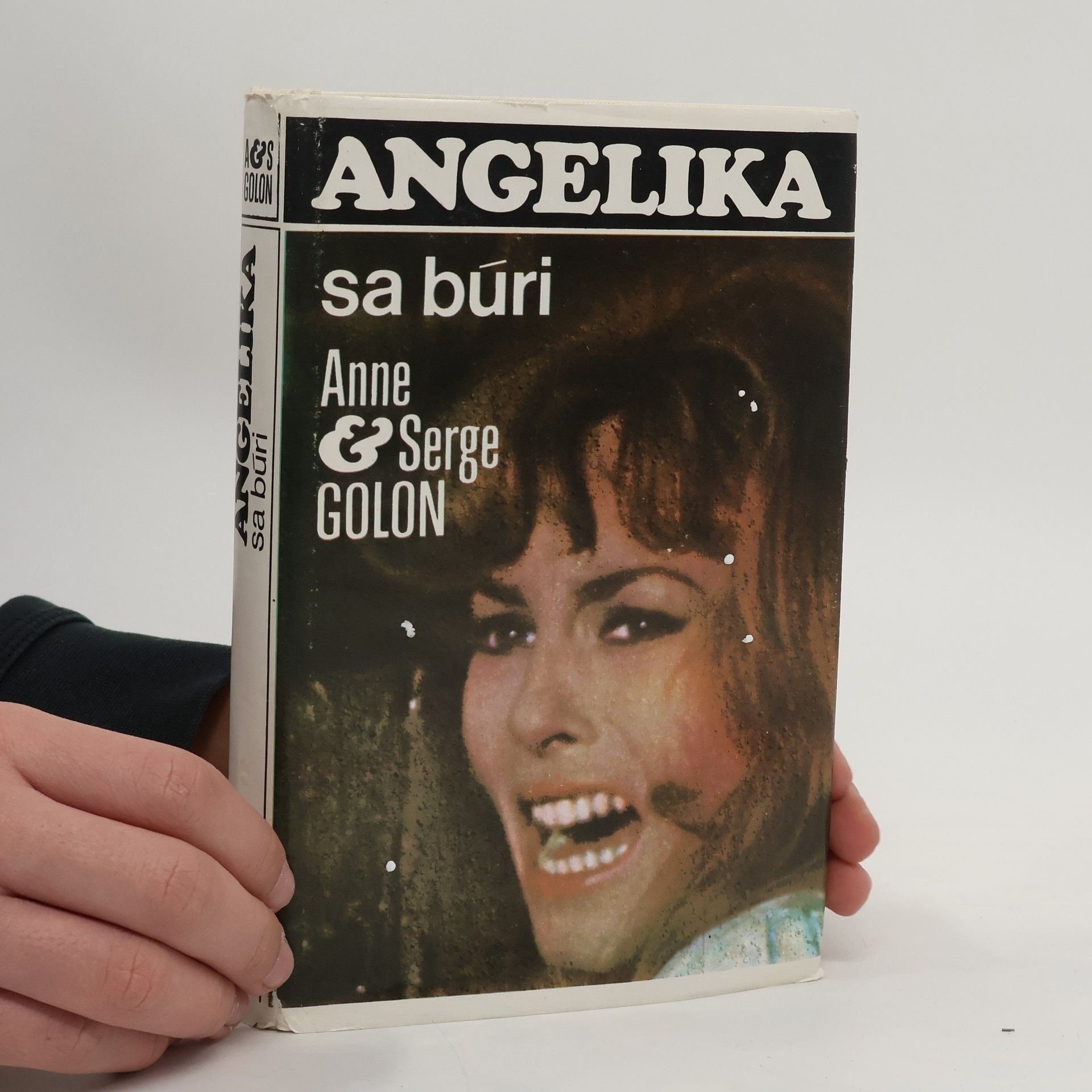 Anne Golon Angelika se búri