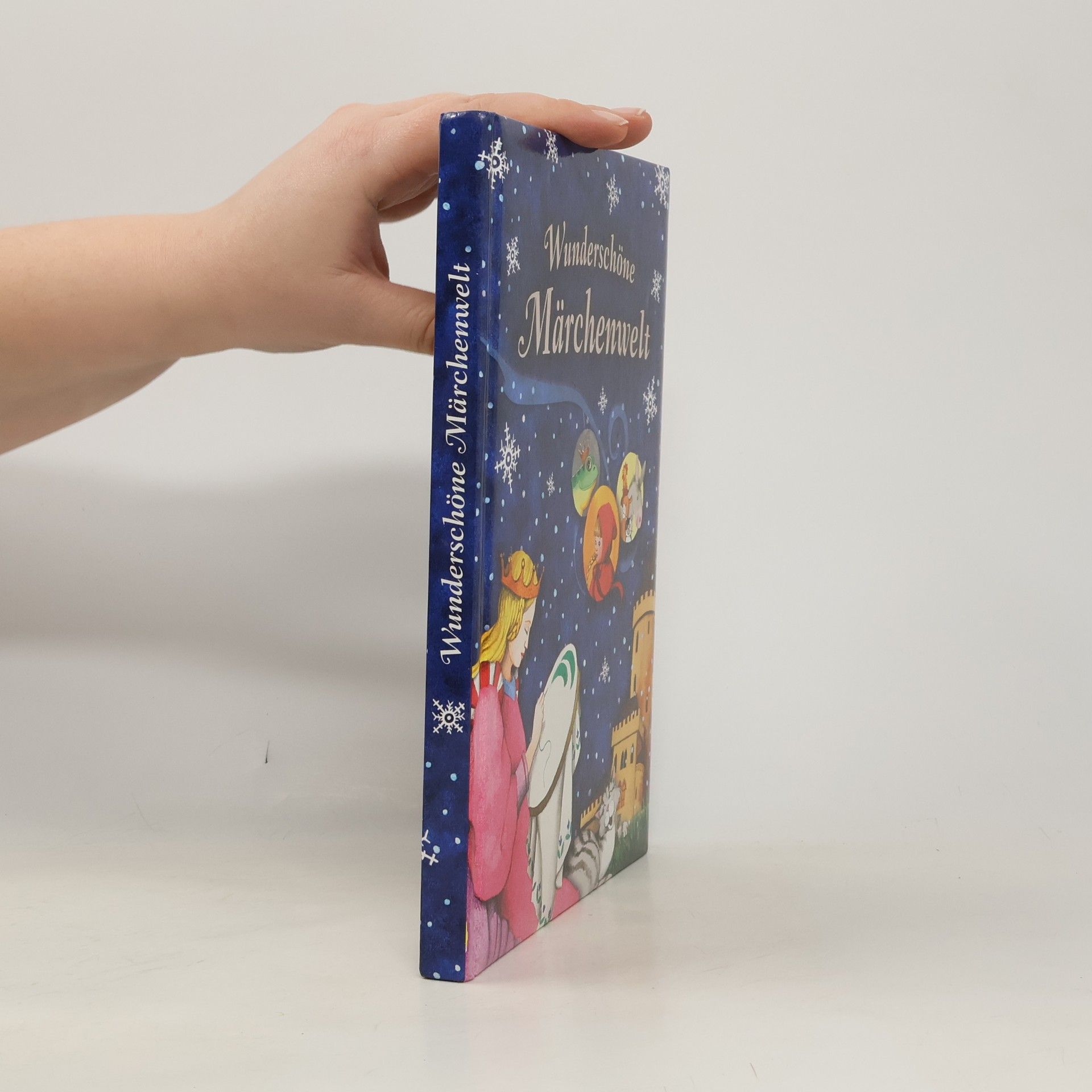 Autorenkollektiv Wunderschöne Märchenwelt