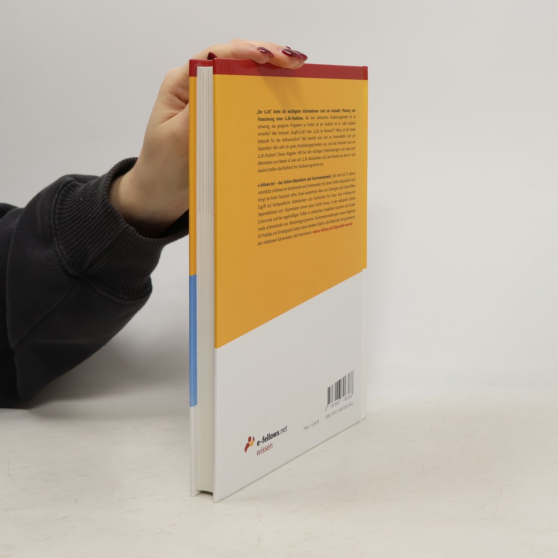 Michael Hies e-fellows.net-Wissen: Der LL.M. 2019