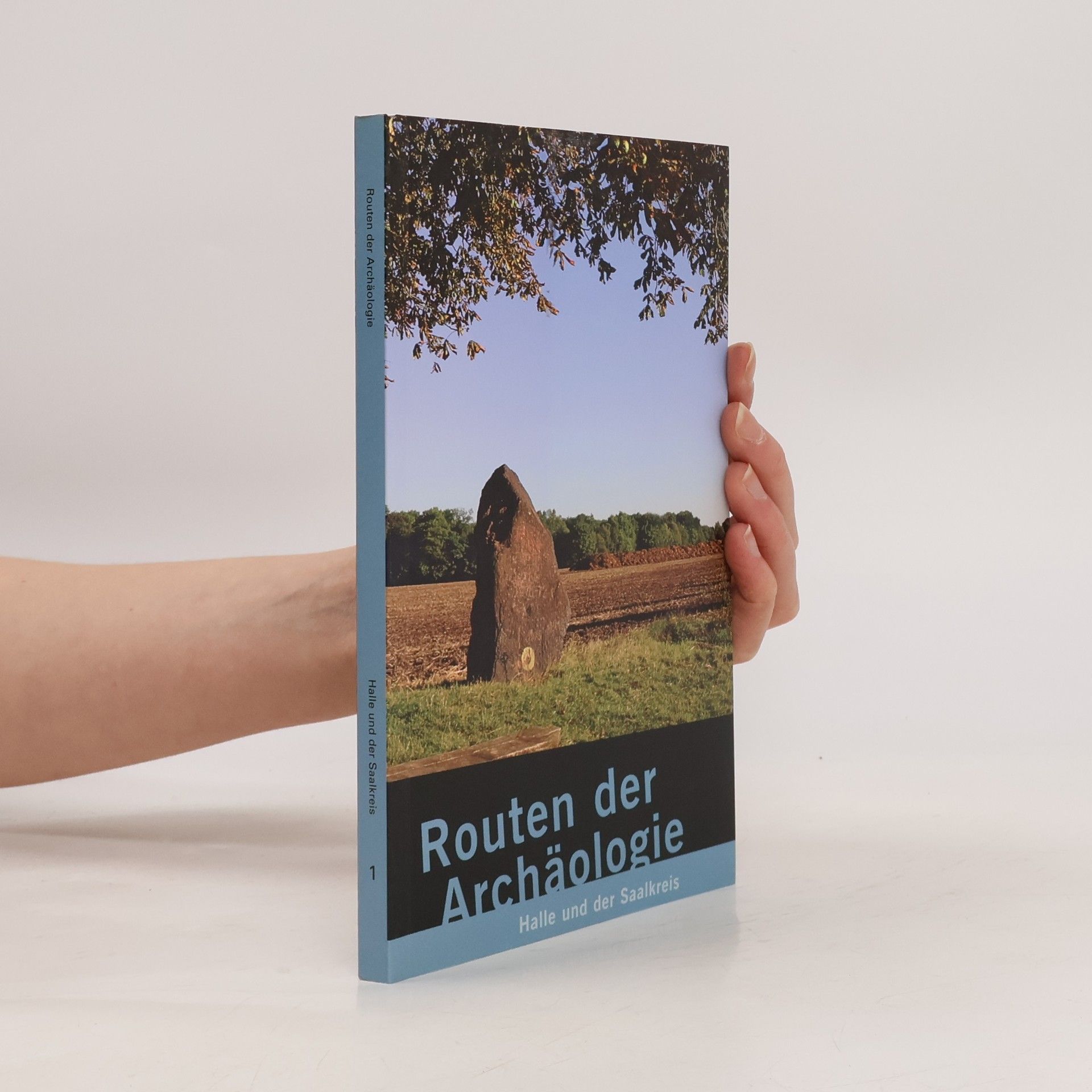 Kolektiv autorů Routen der Archäologie 1: Halle und der Saalkreis