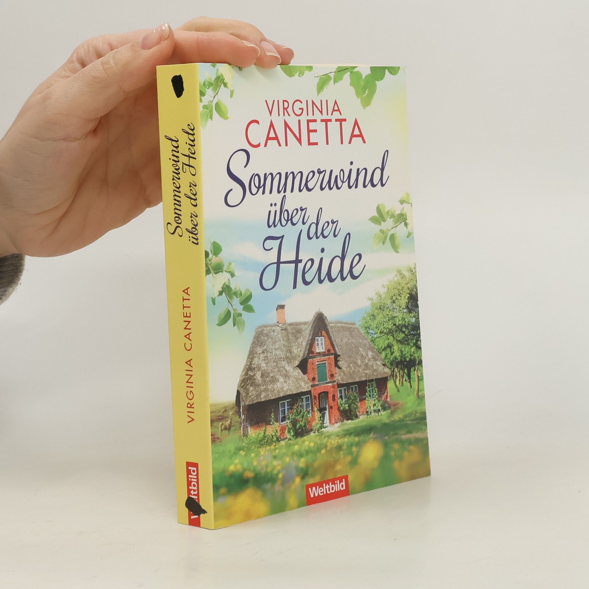 Virginia Canetta Sommerwind über der Heide