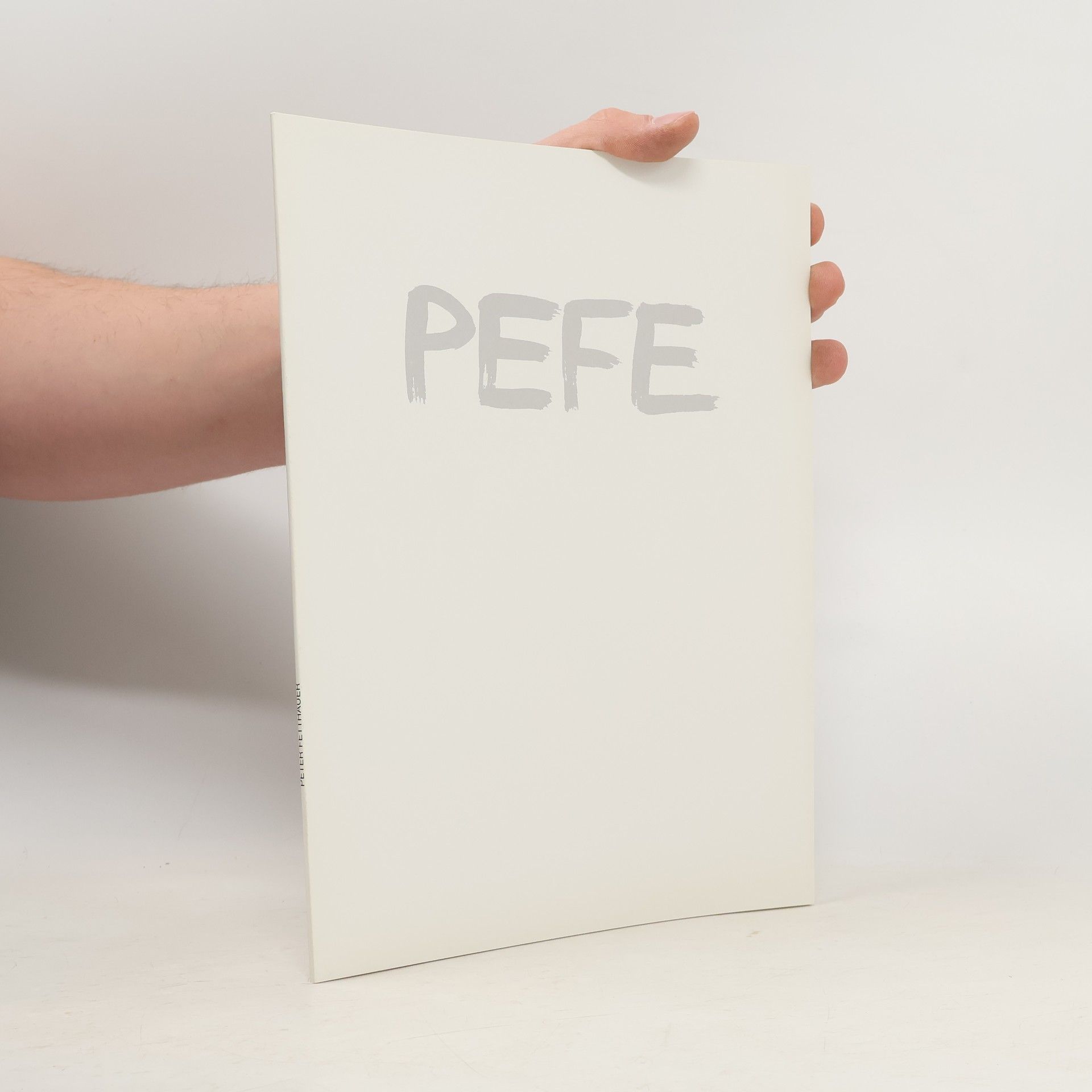 Peter Fetthauer PEFE. Ausstellungen 1999