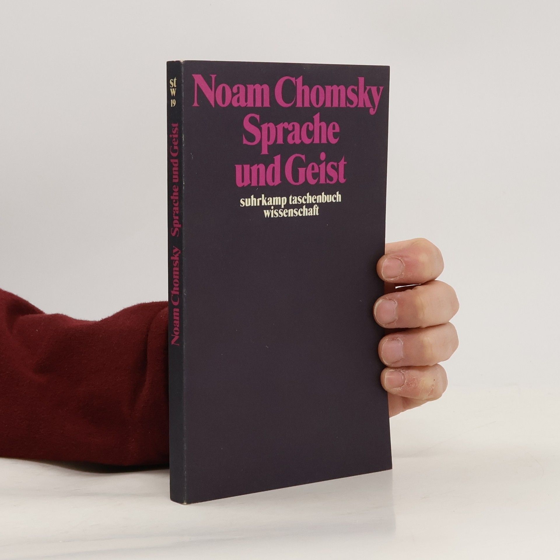 Noam Chomsky Sprache und Geist
