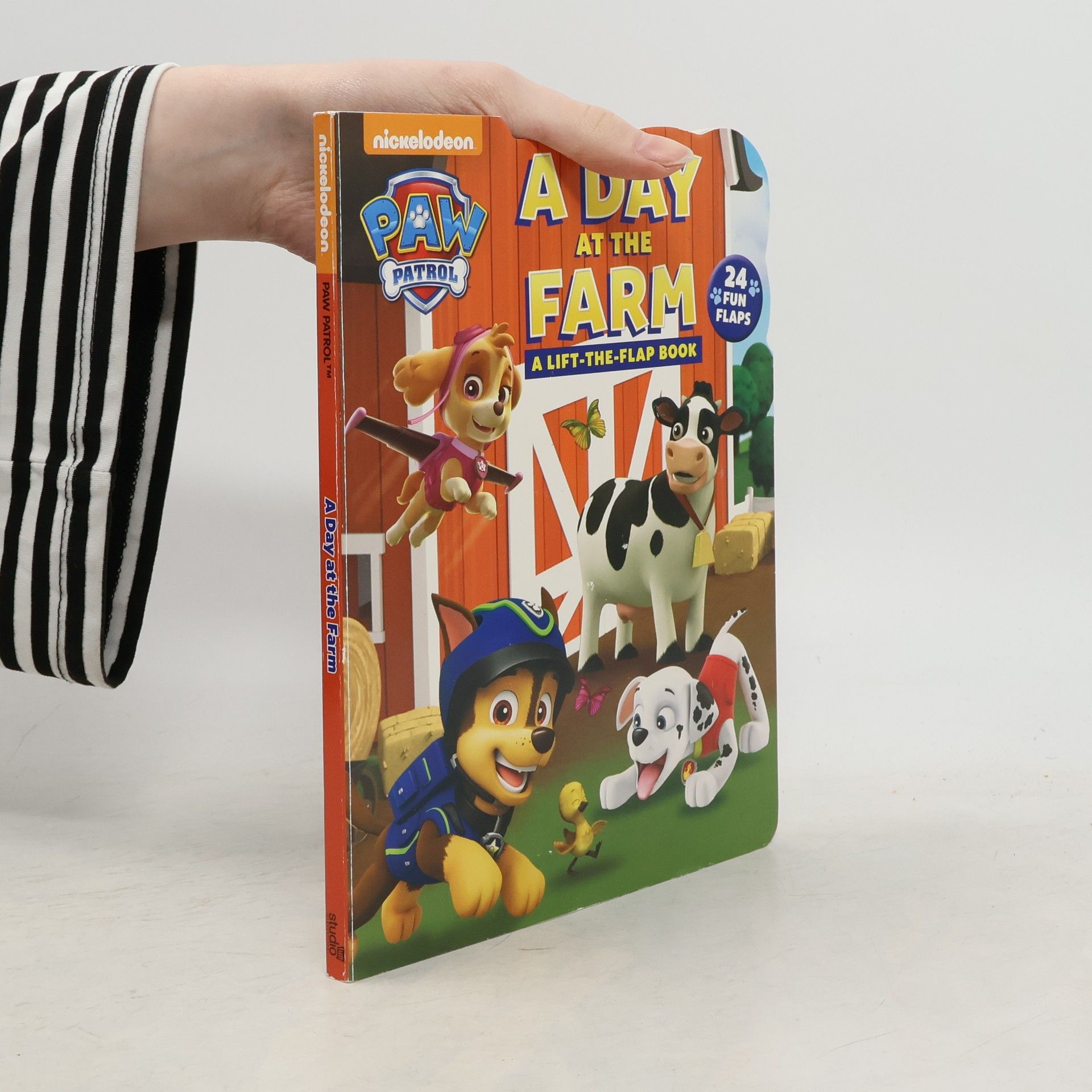 Collectif d'auteurs A Day at the Farm