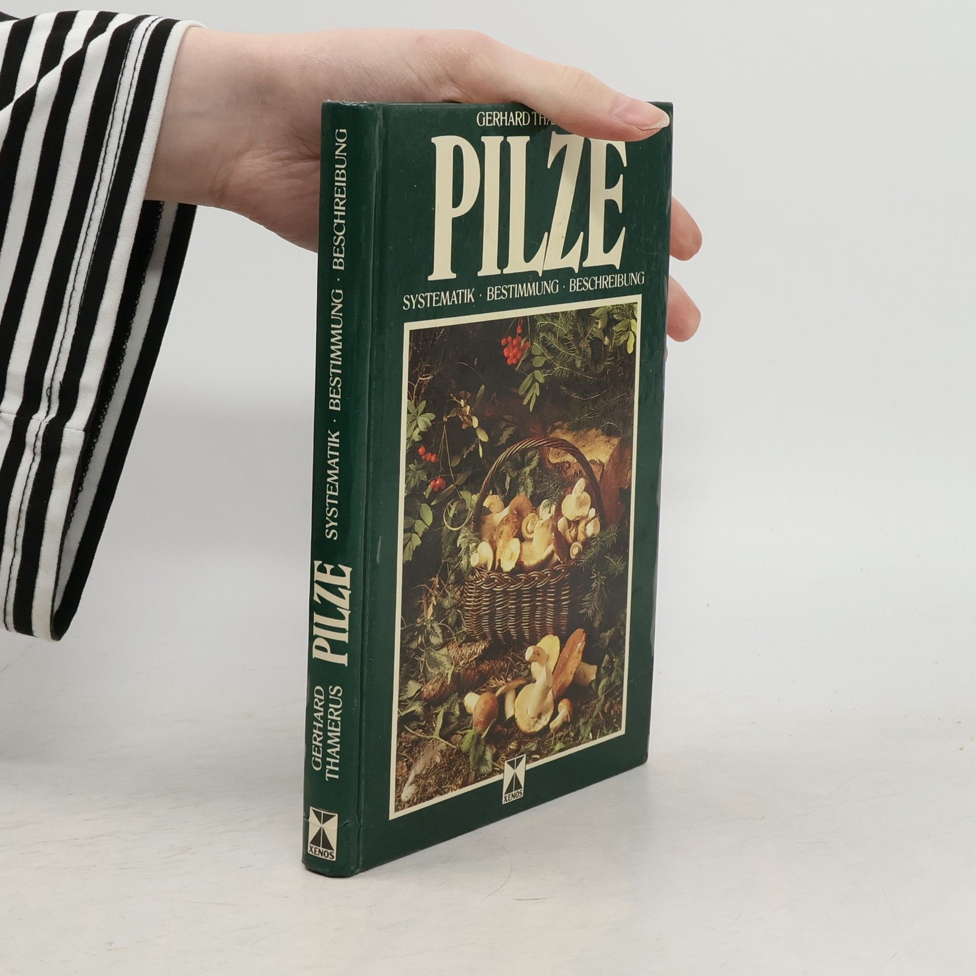 Gerhard Thamerus Pilze