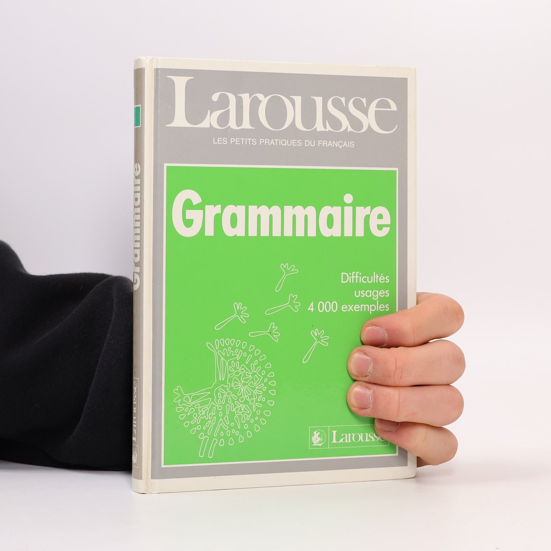 Autorenkollektiv Grammaire. Difficultés usages, 4000 exemples