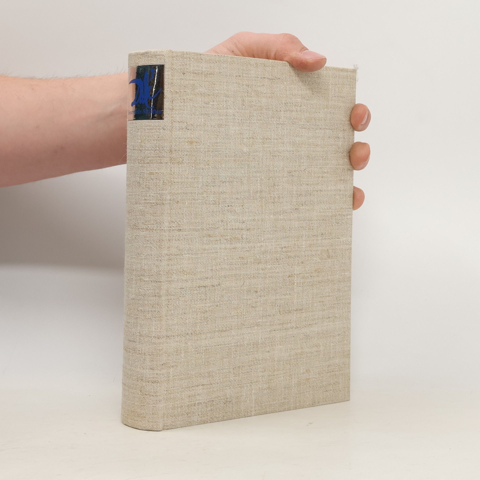 Axel Matthes Unabhängigkeitserklärung der Phantasie und Erklärung der Rechte des Menschen auf seine Verrücktheit