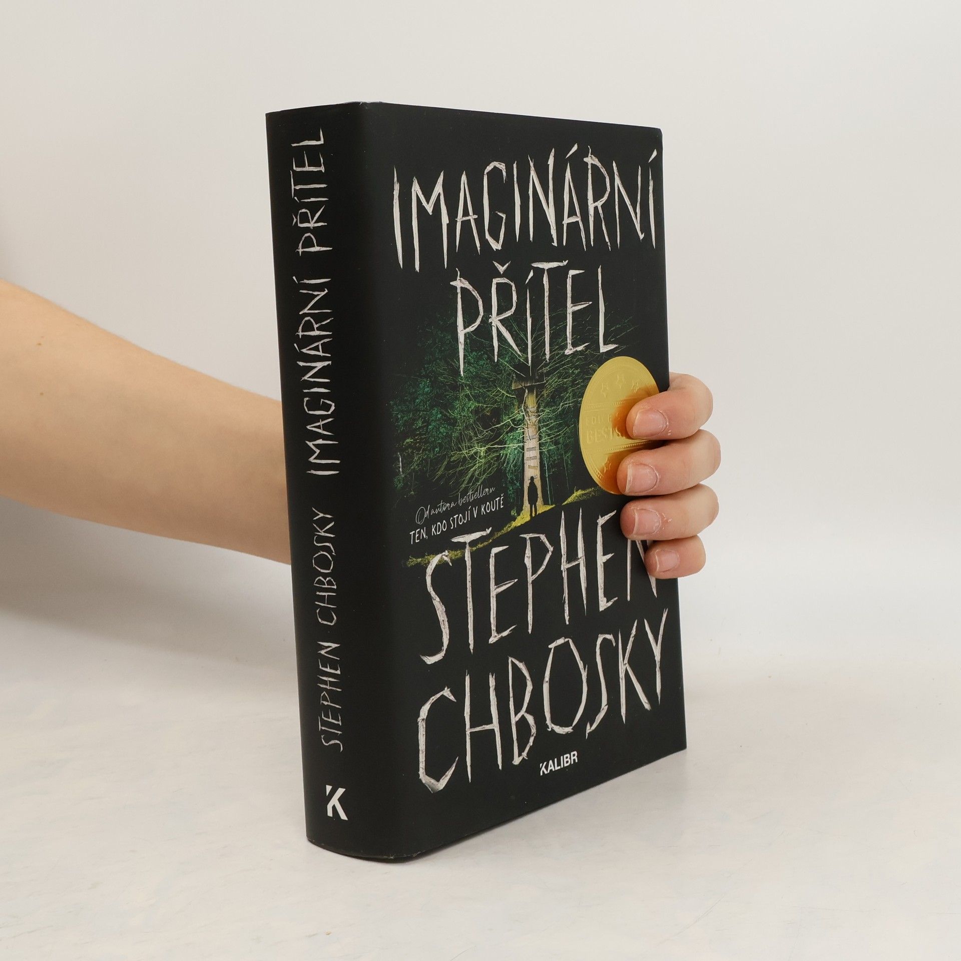 Stephen Chbosky Imaginární přítel