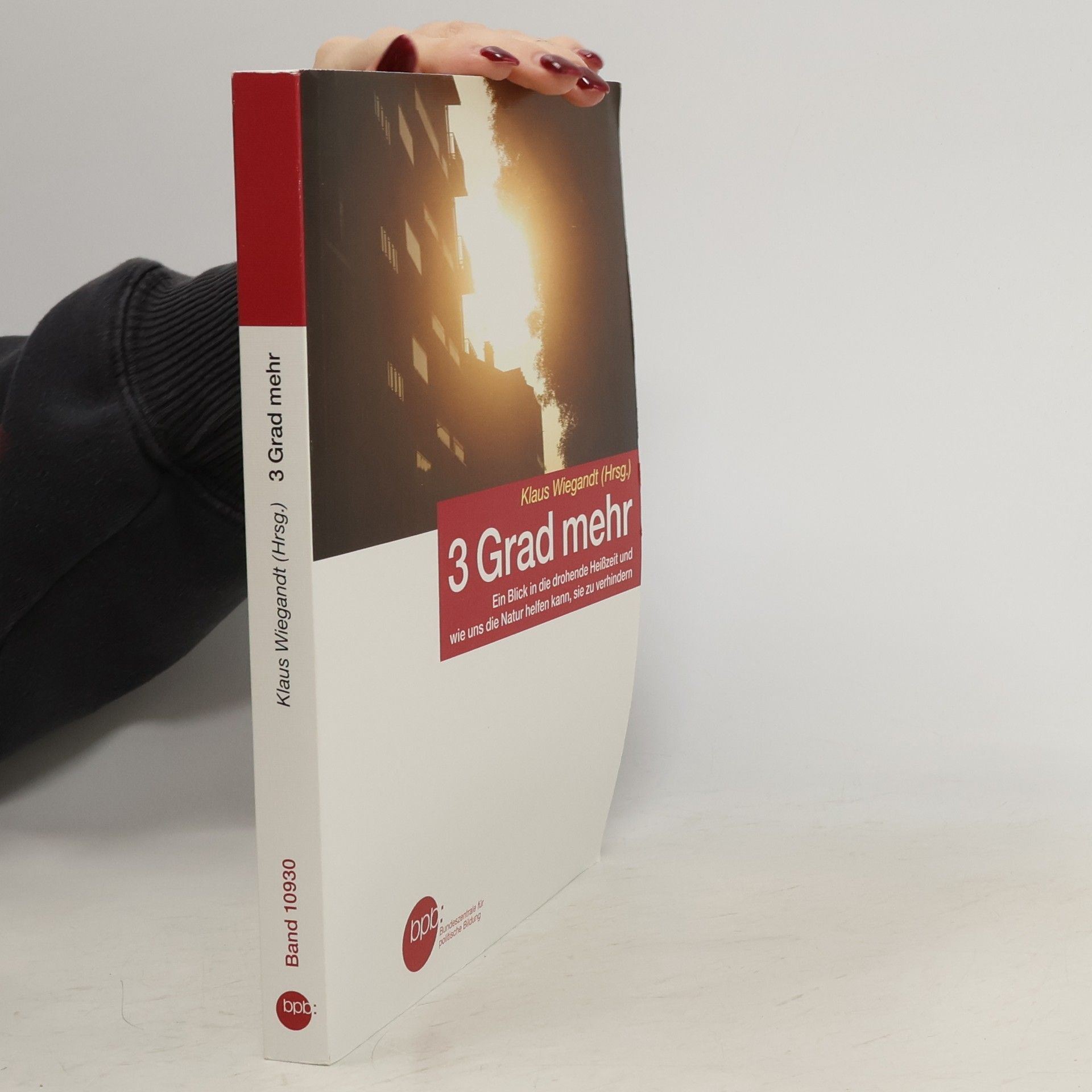 Stefan Rahmstorf 3 Grad mehr