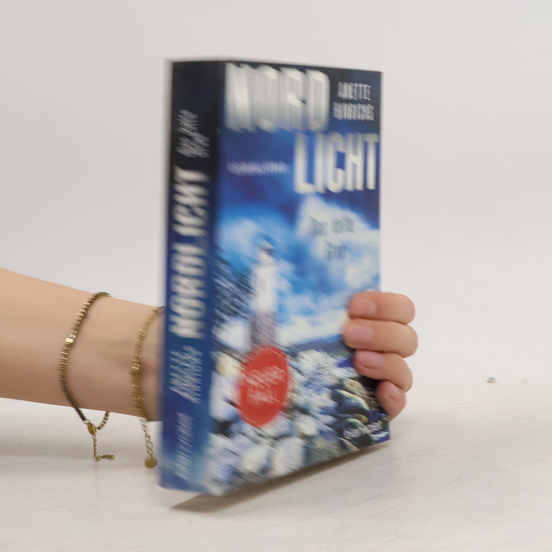 Anette Hinrichs Nord Licht. Das kalte Grab