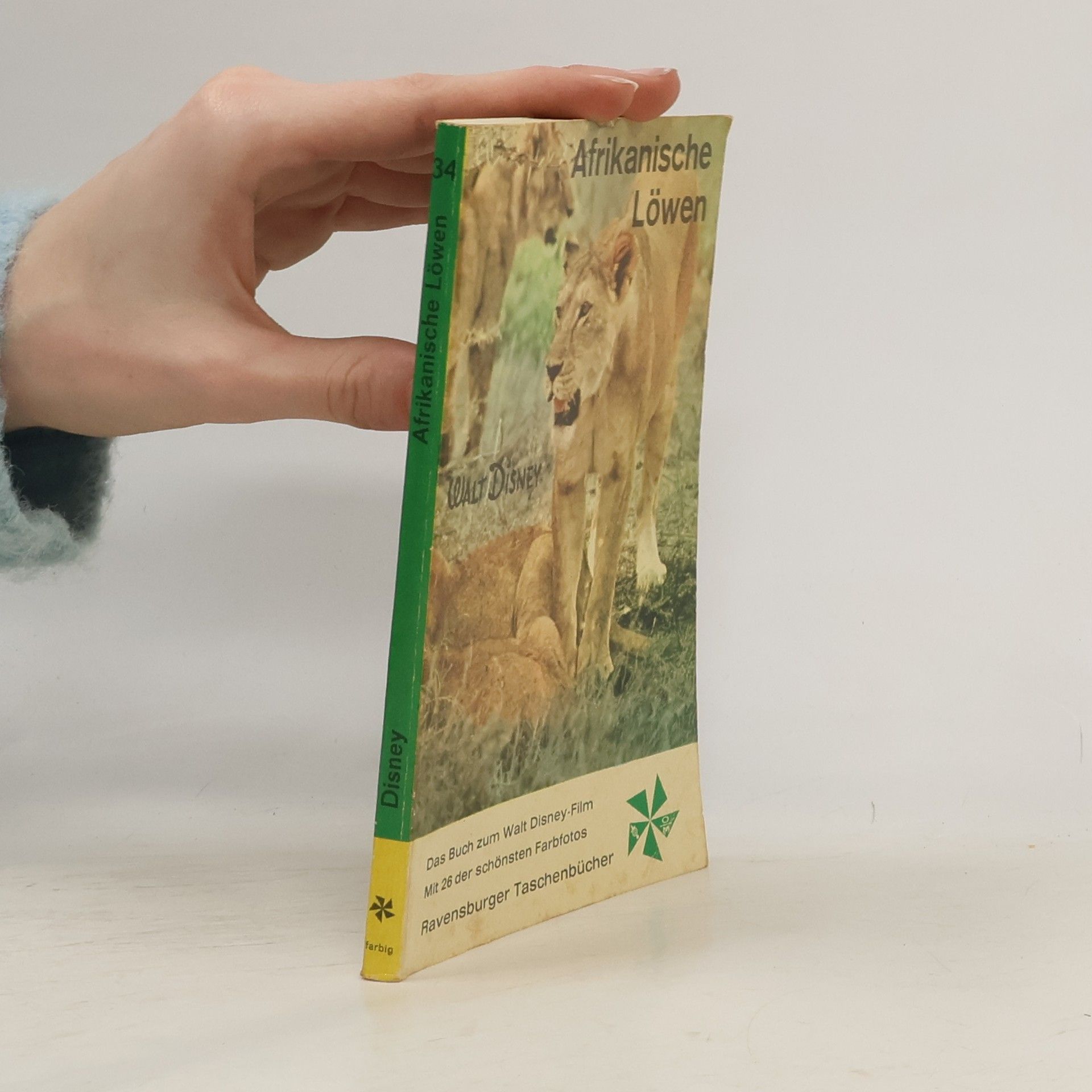 Various authors Afrikanische Löwen