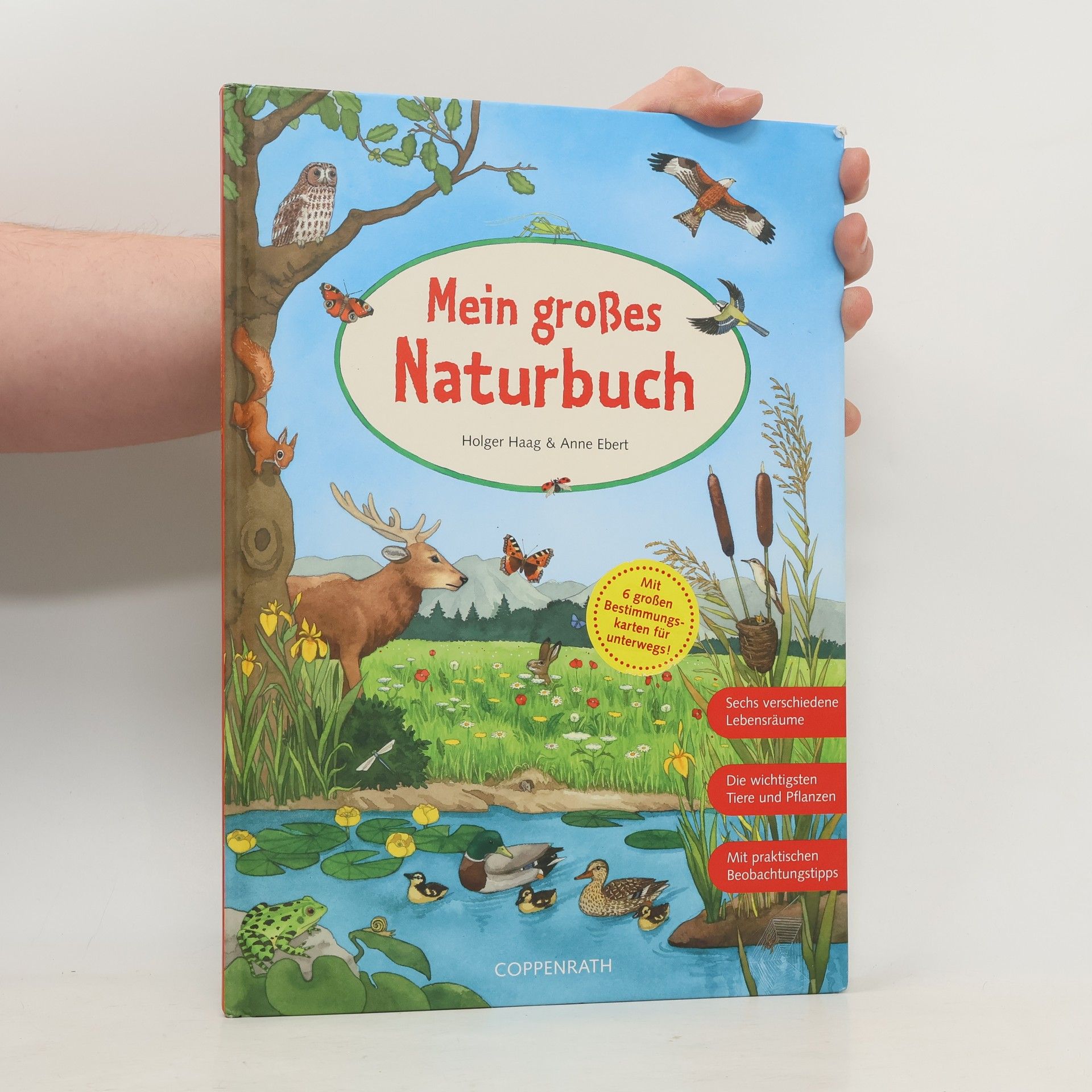 Holger Haag Mein großes Naturbuch