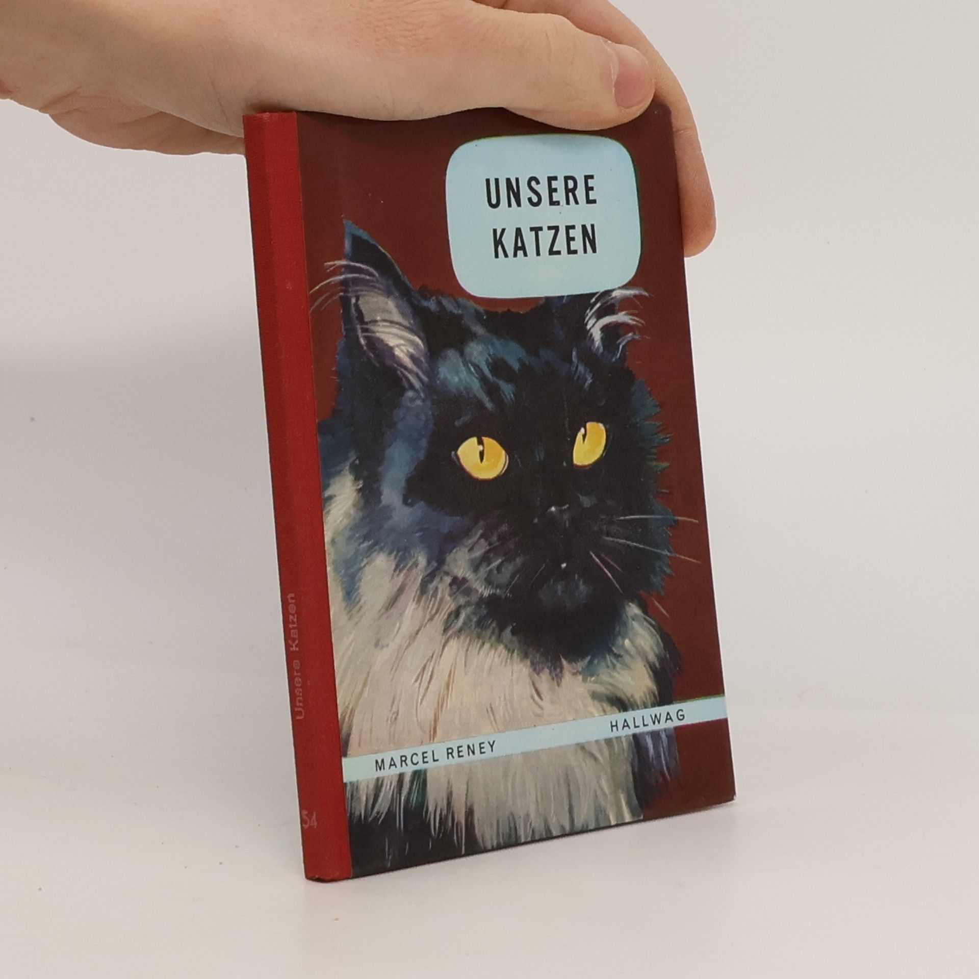 Marcel Reney Unsere Katzen