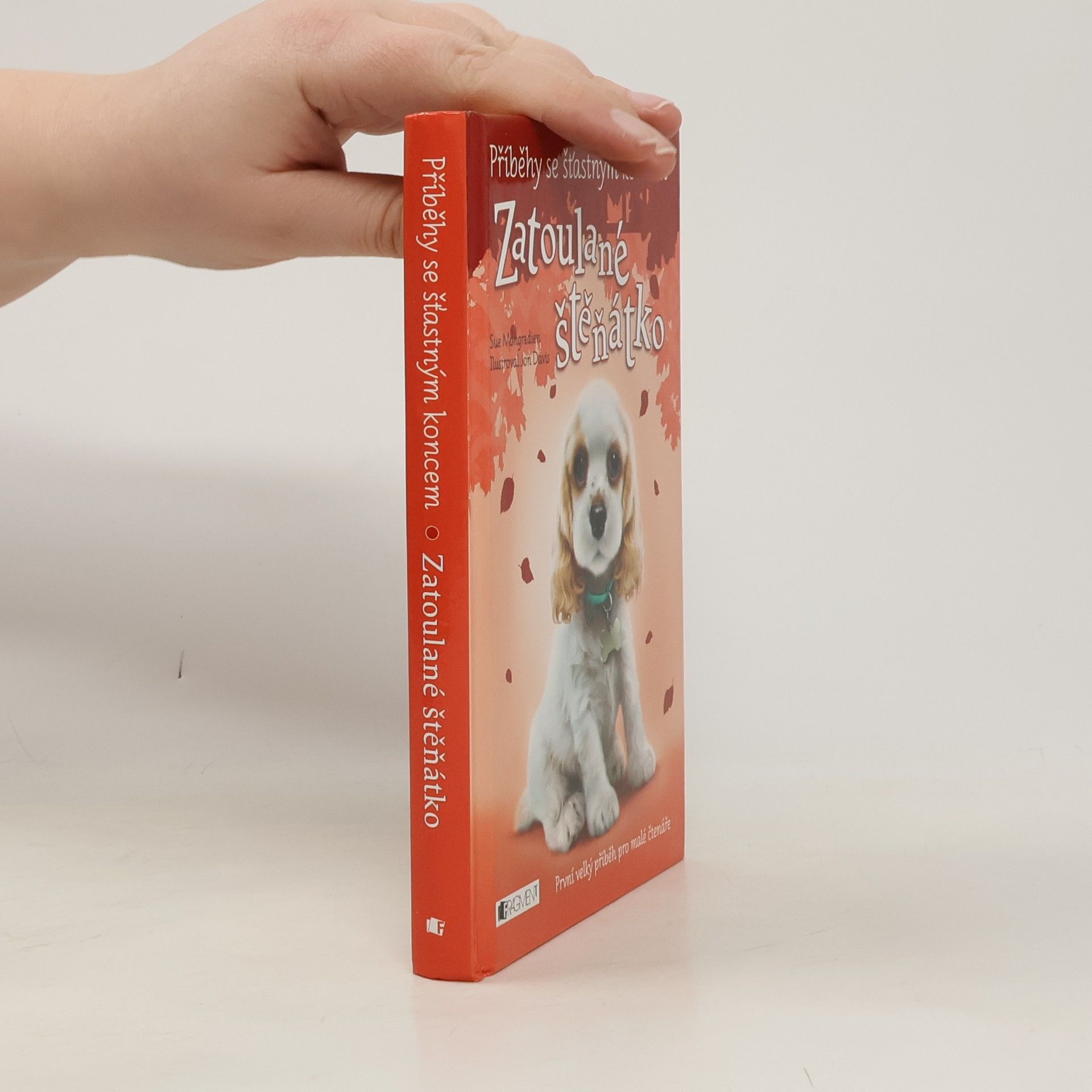 Jon Davis Zatoulané štěňátko