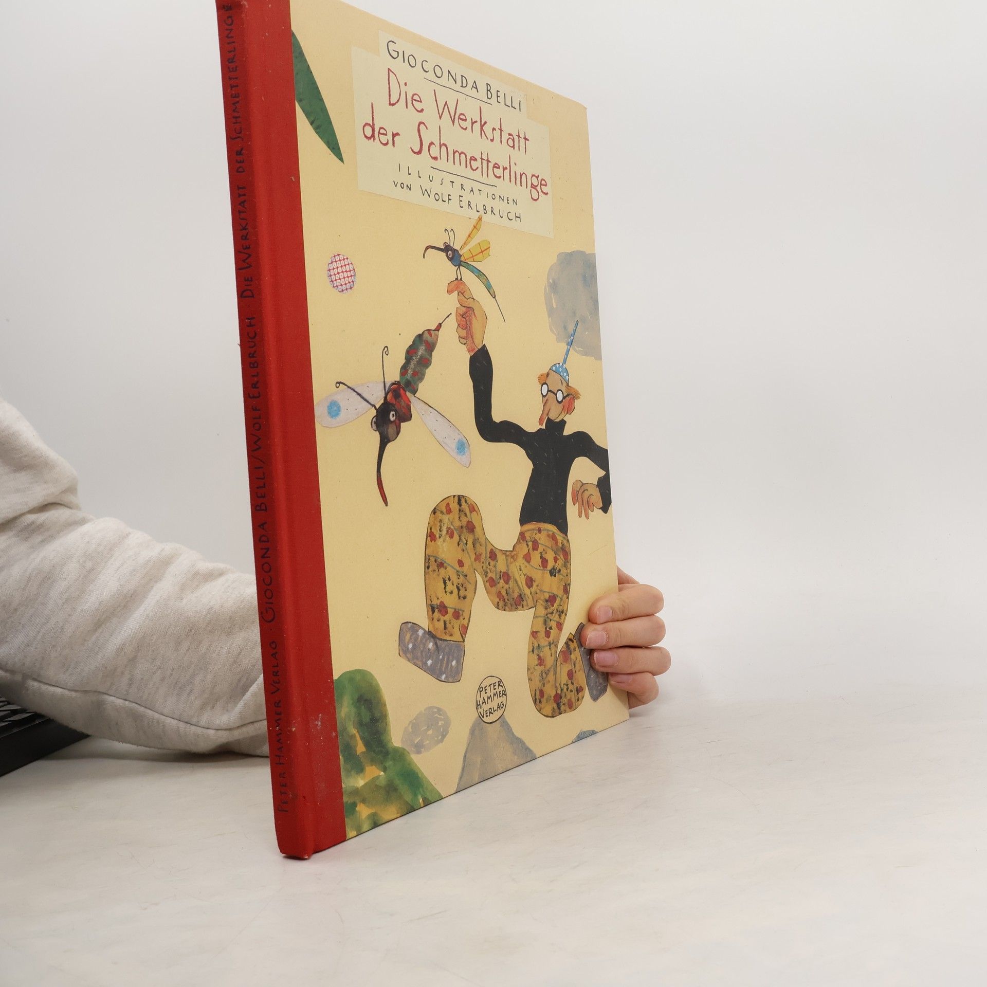Gioconda Belli Die Werkstatt der Schmetterlinge