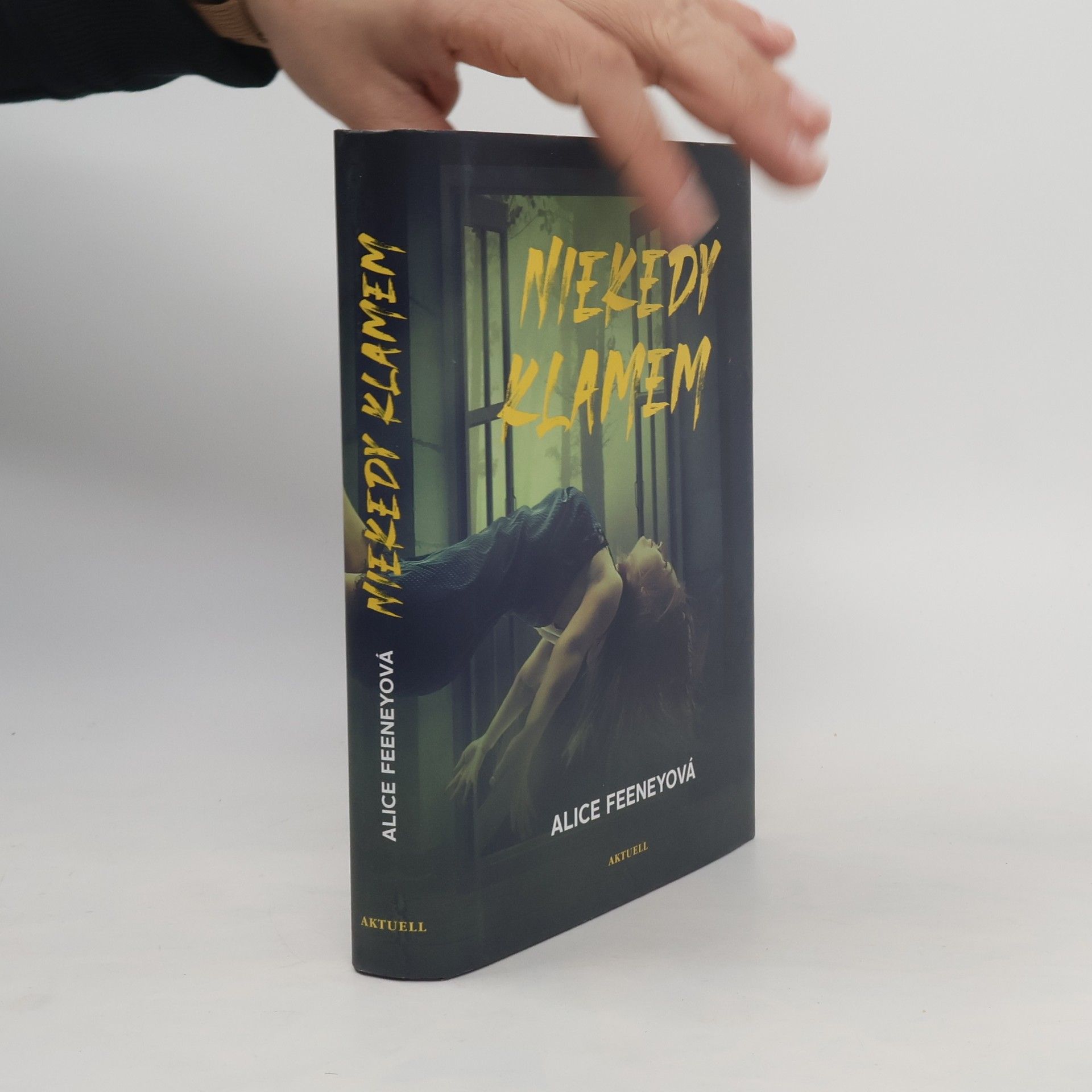 Alice Feeney Niekedy klamem