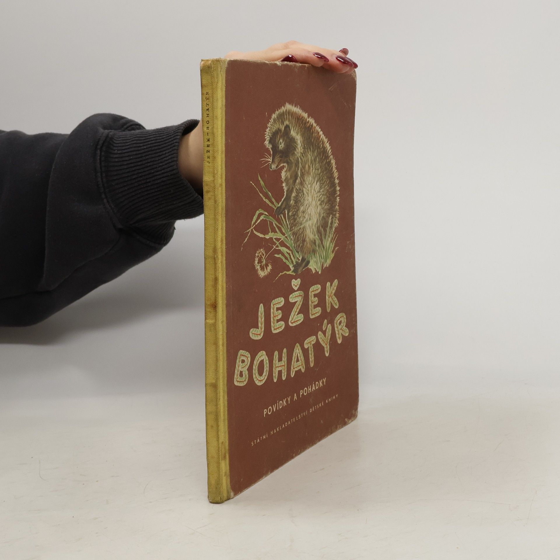 Kolektiv autorů Ježek bohatýr