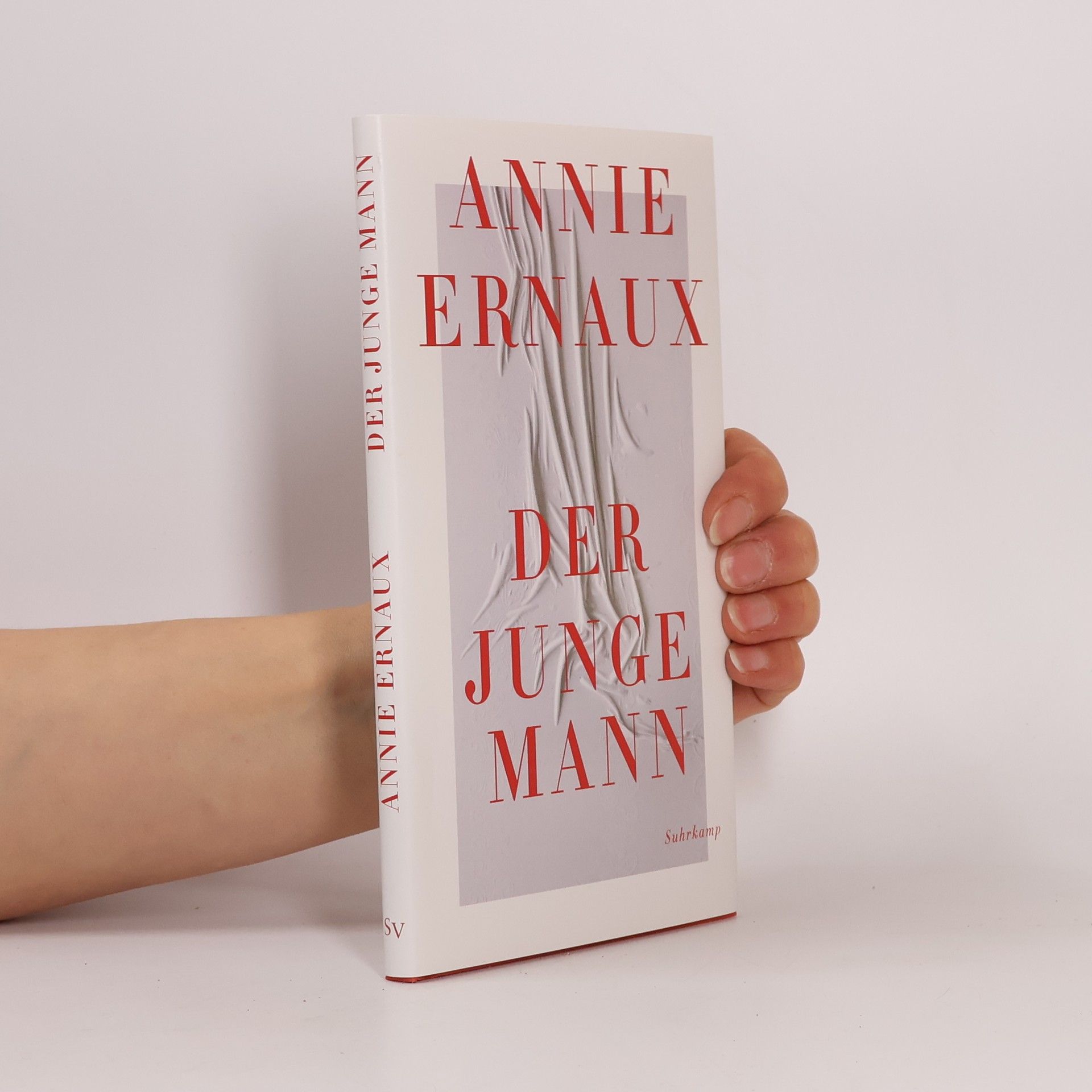 Annie Ernaux Der junge Mann