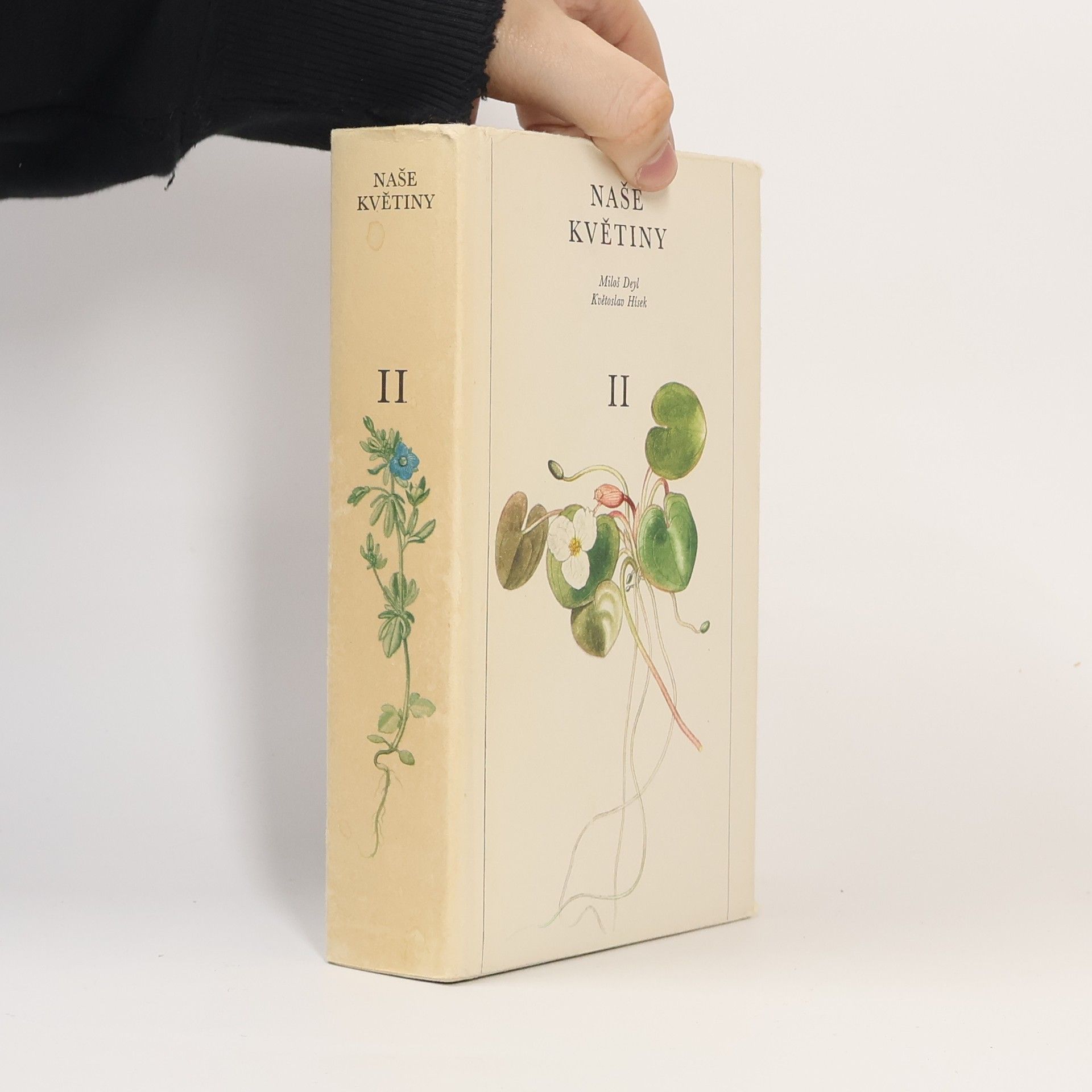 Otto Janka Naše květiny II.