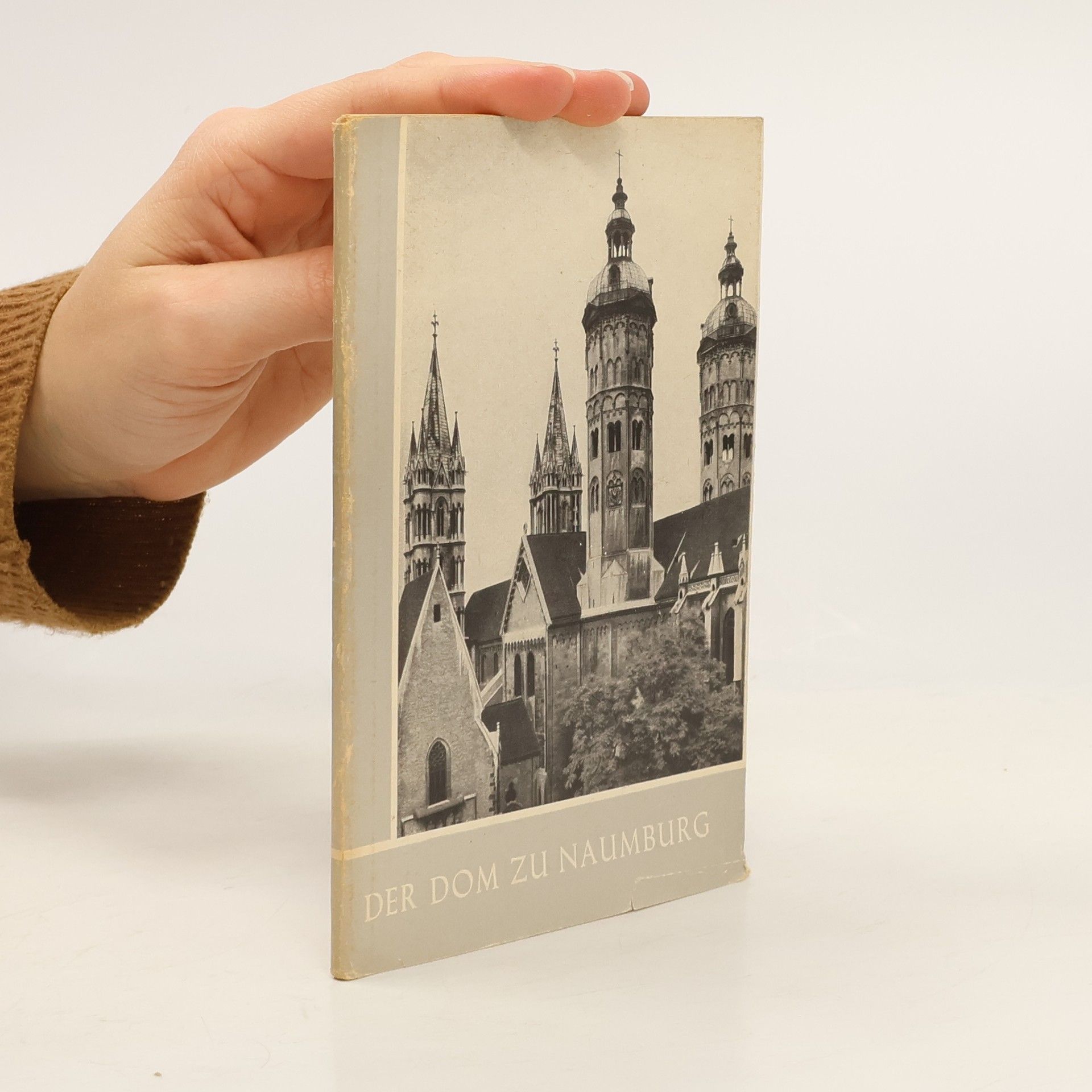 Autores varios Der Dom zu Naumburg