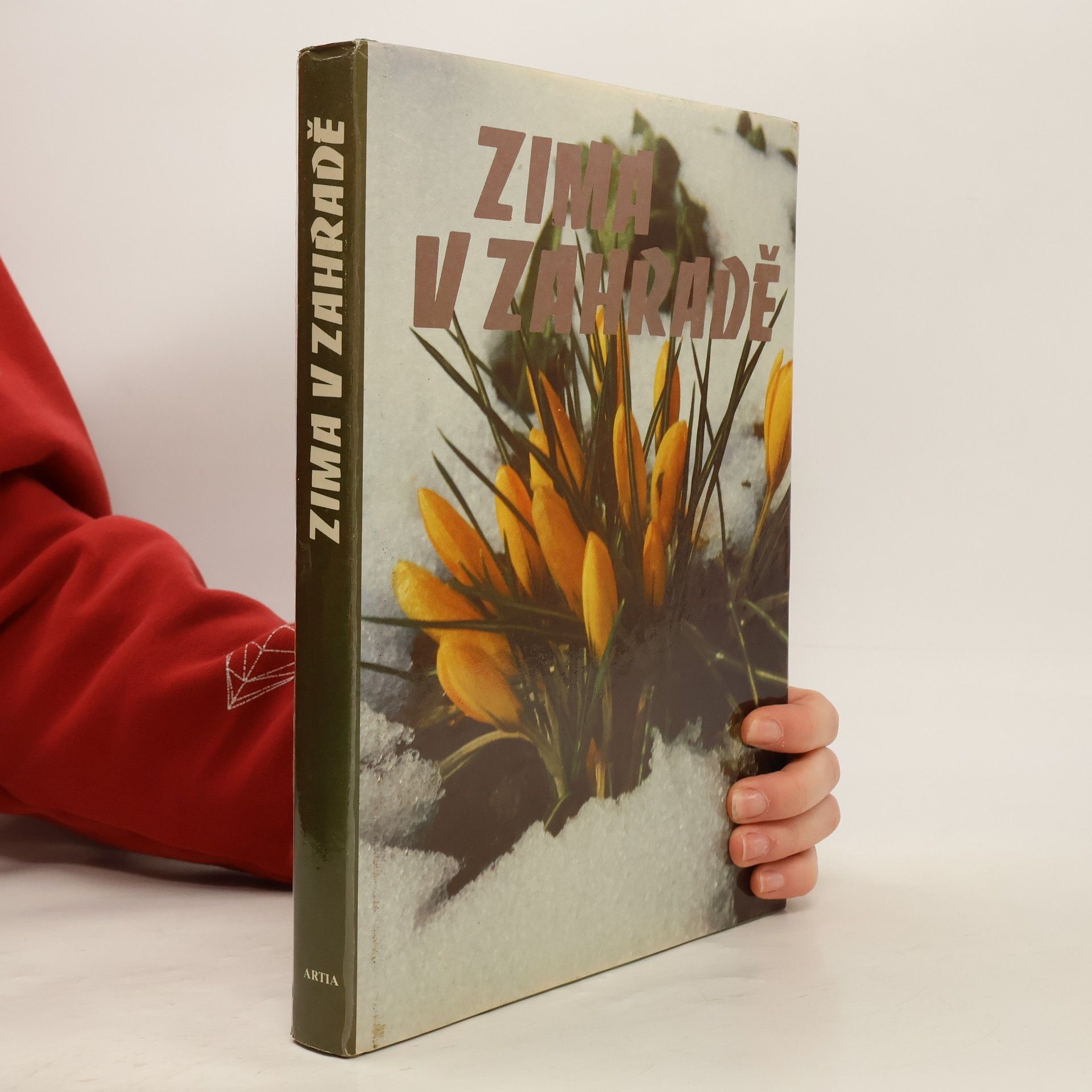 Autorenkollektiv Zima v zahradě