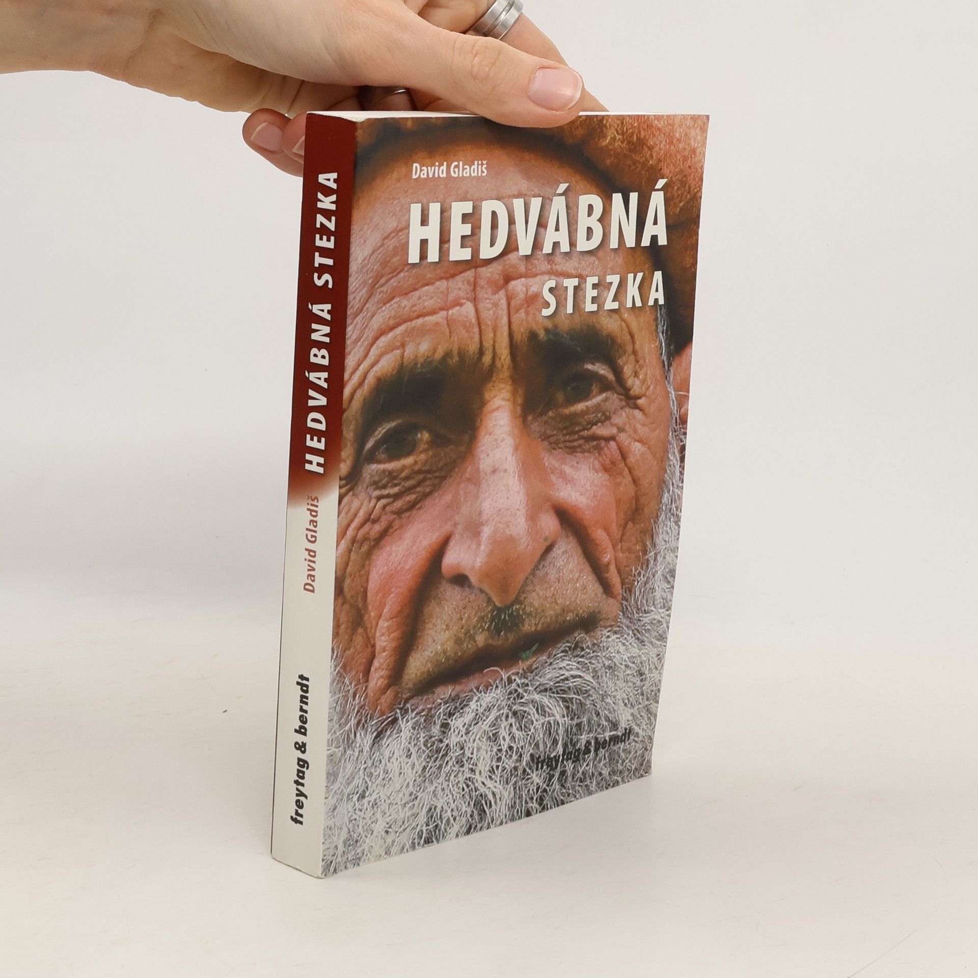 David Gladiš Hedvábná stezka