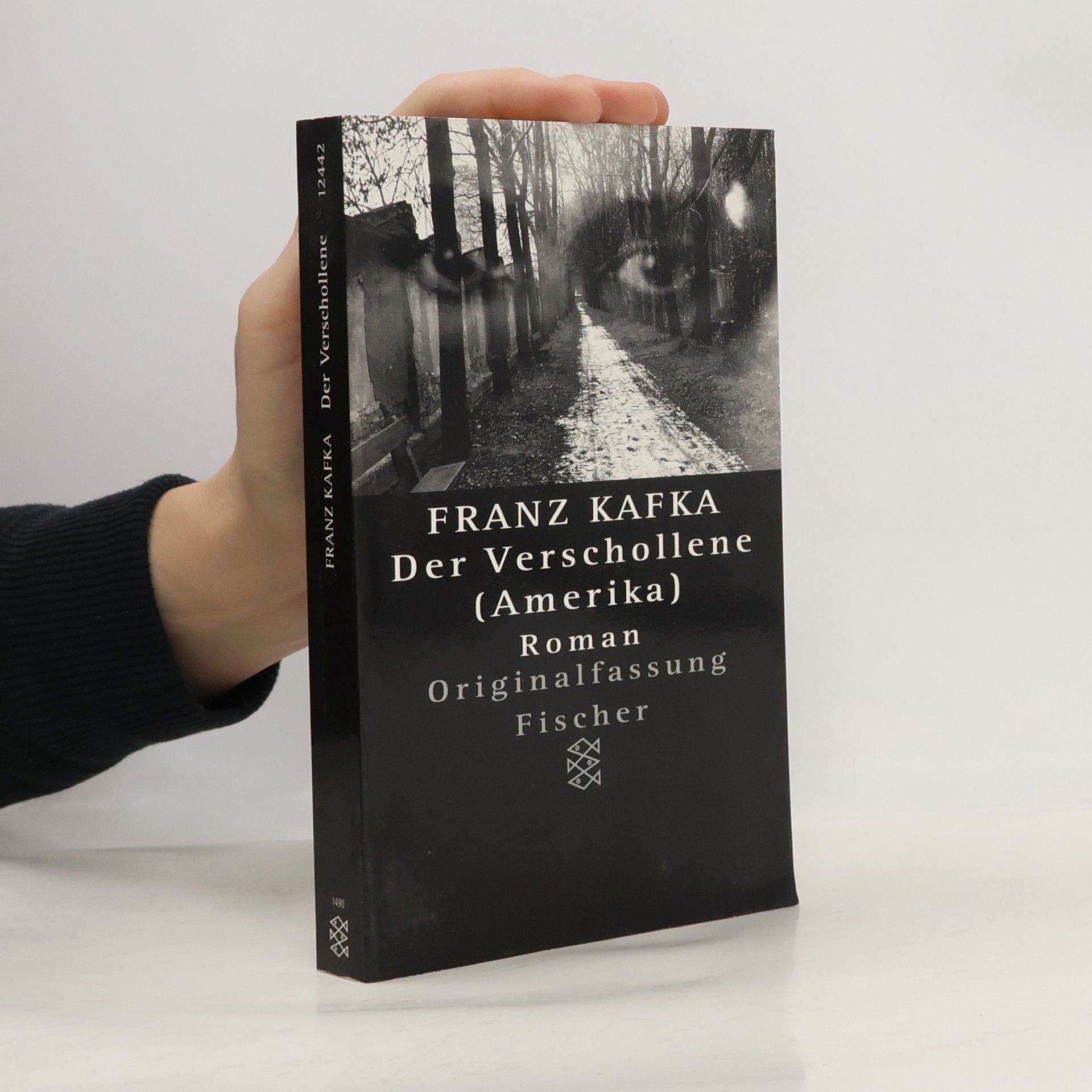 Franz Kafka Der Verschollene : Roman : in der Fassung der Handschrift