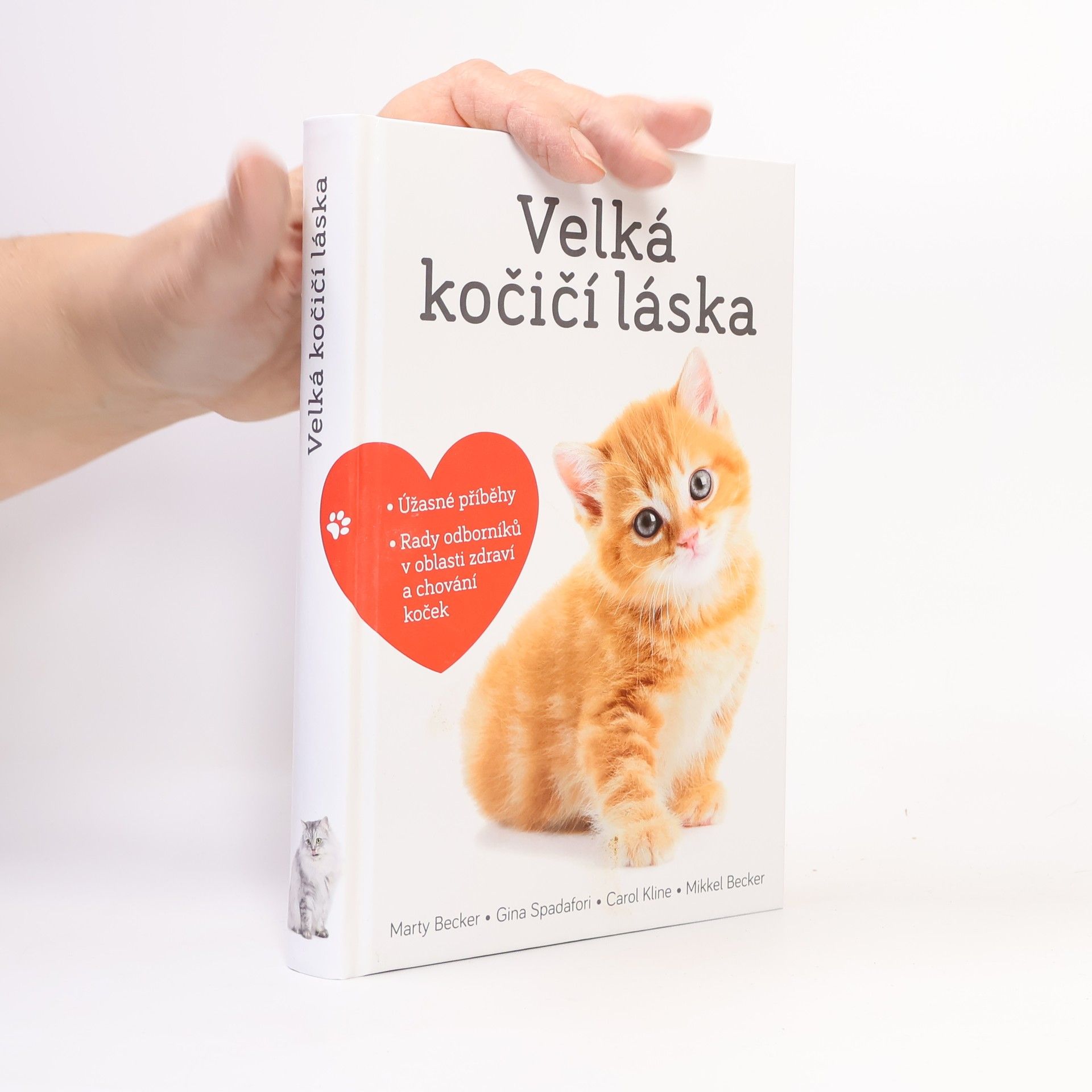 Velká kočičí láska