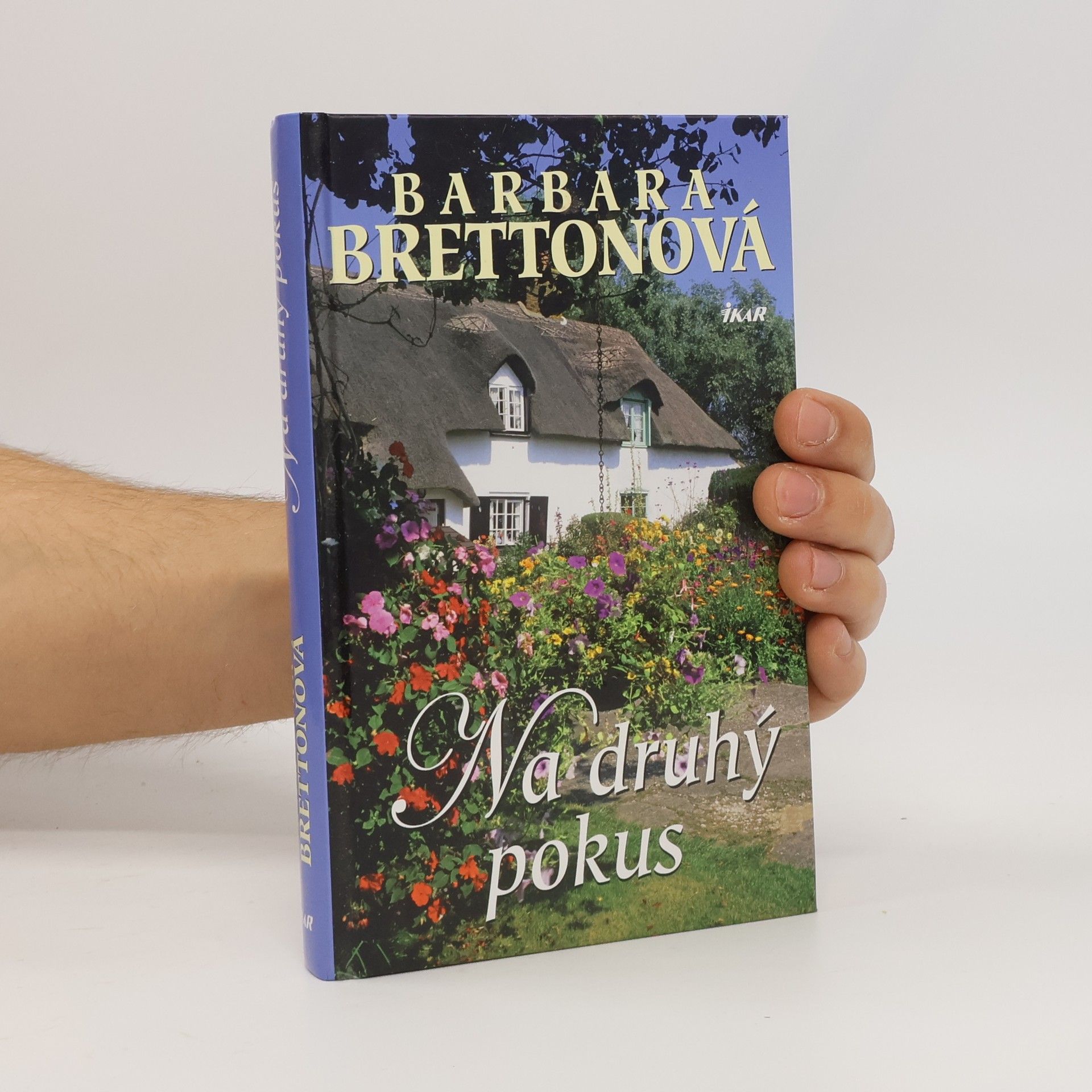 Barbara Bretton Na druhý pokus