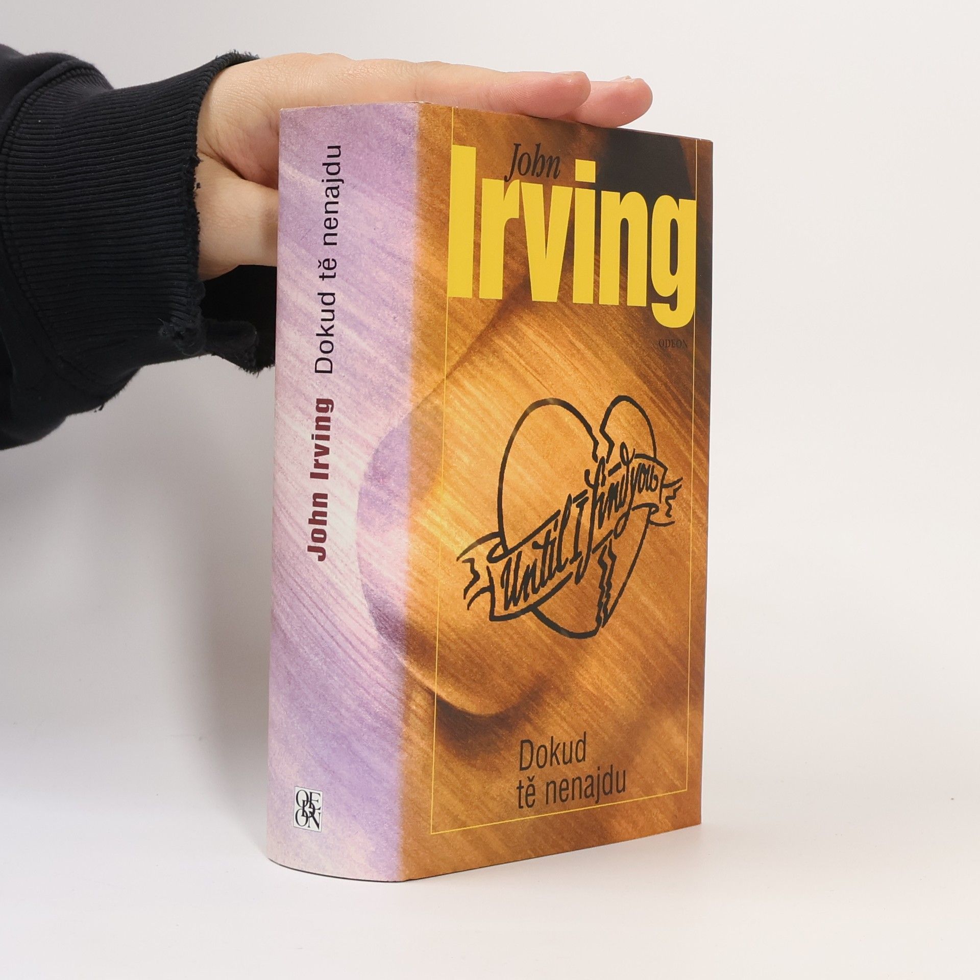 John Irving Dokud tě nenajdu