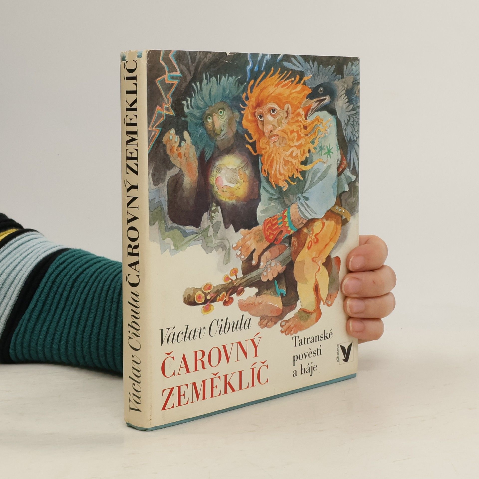 Václav Cibula Čarovný zeměklíč