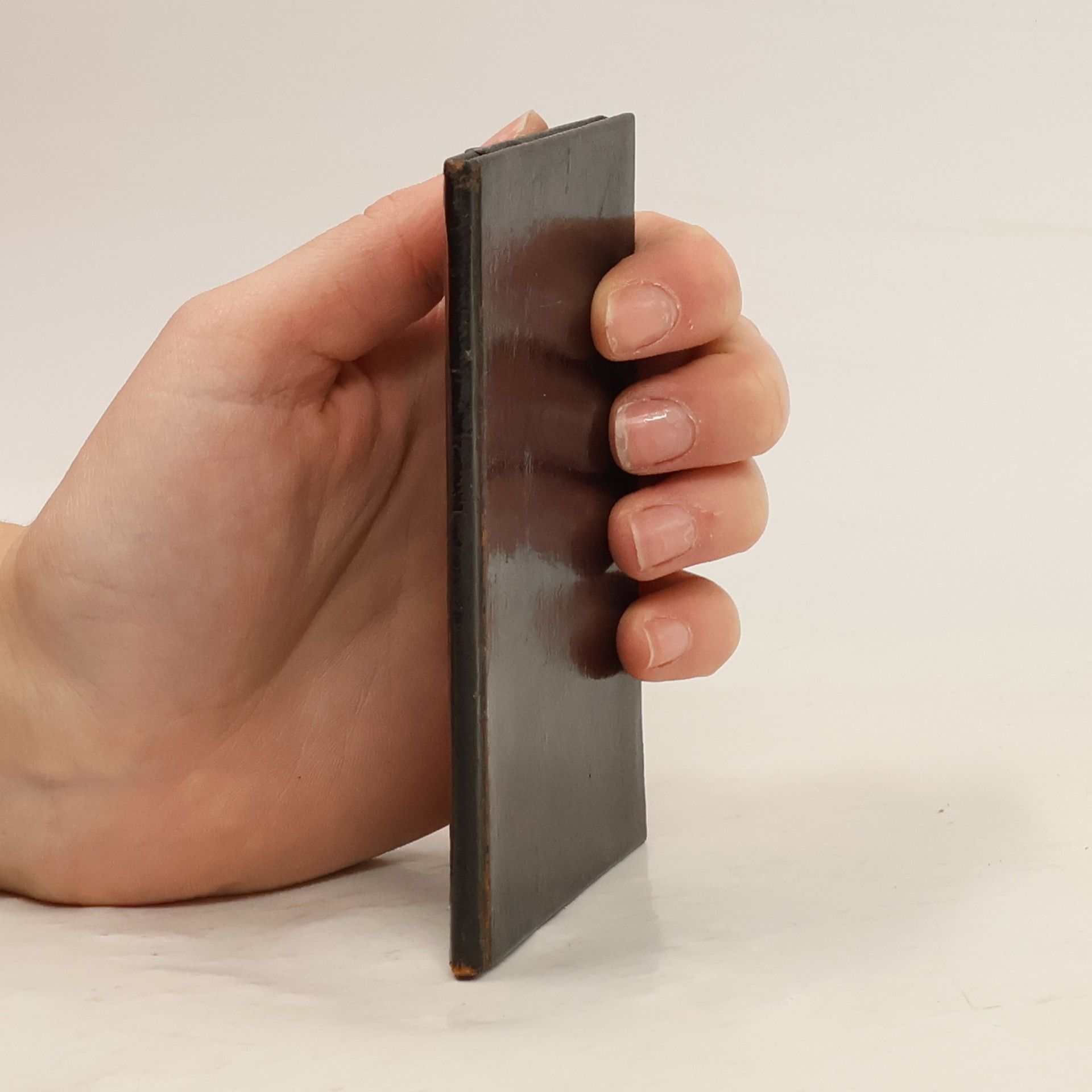 Ján Vrabec České dějiny v tisíci slovech