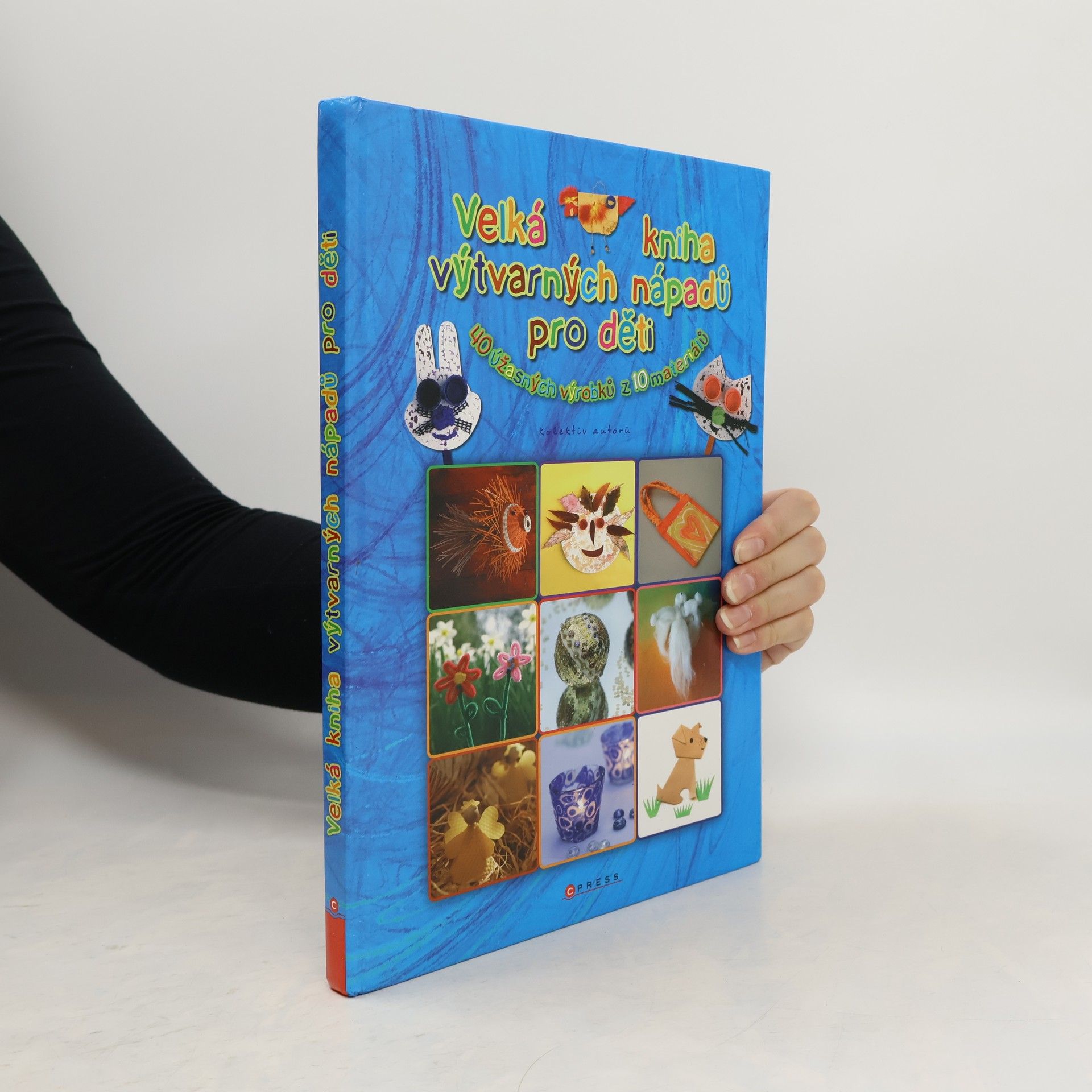 Various authors Velká Kniha výtvarných nápadů pro děti