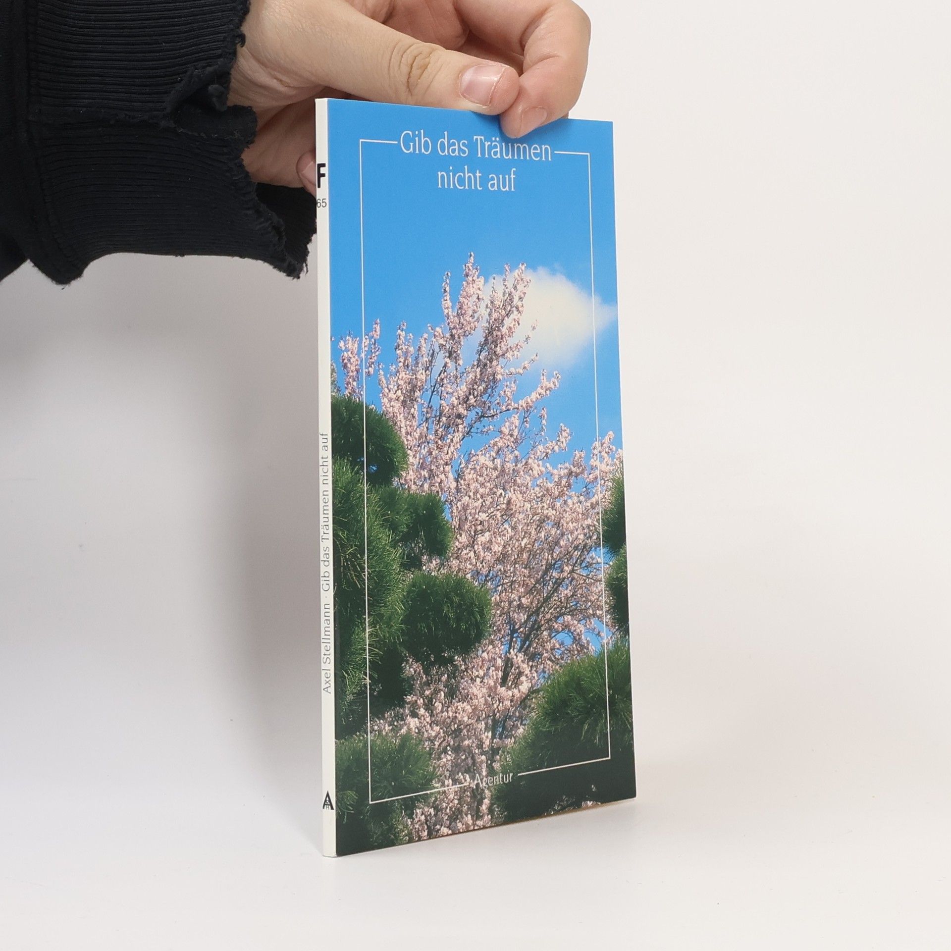 Axel Stellmann Gib das Träumen nicht auf