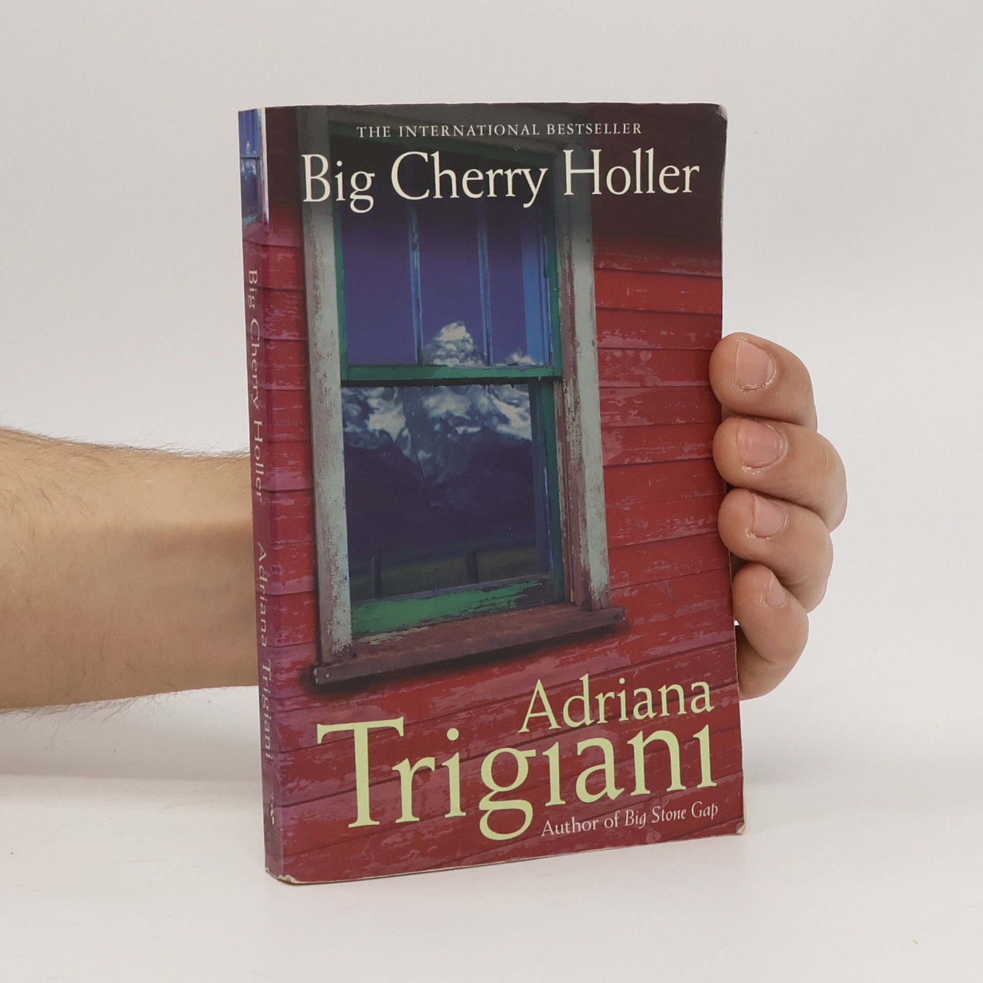 Adriana Trigiani Big Cherry Holler