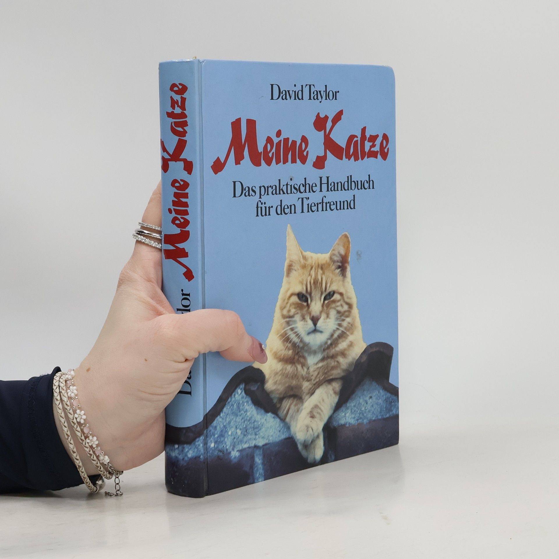 David Taylor Meine Katze