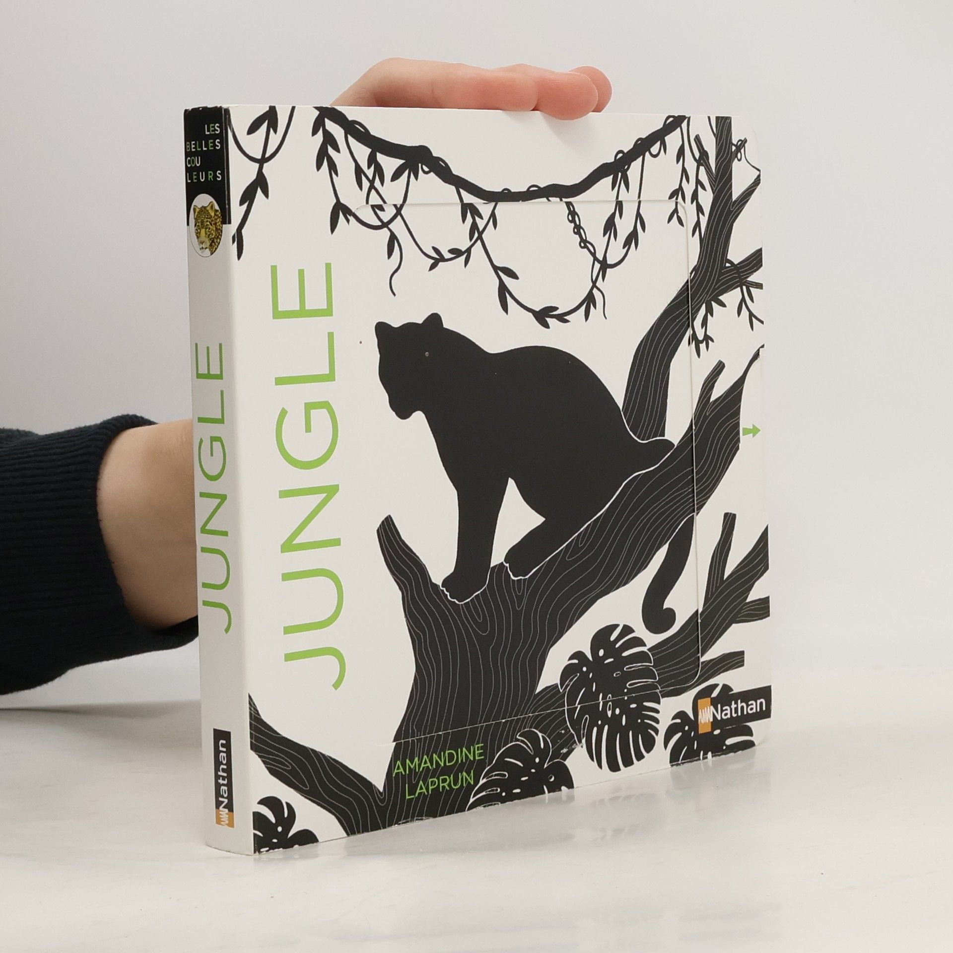 Les Belles Couleurs: Jungle