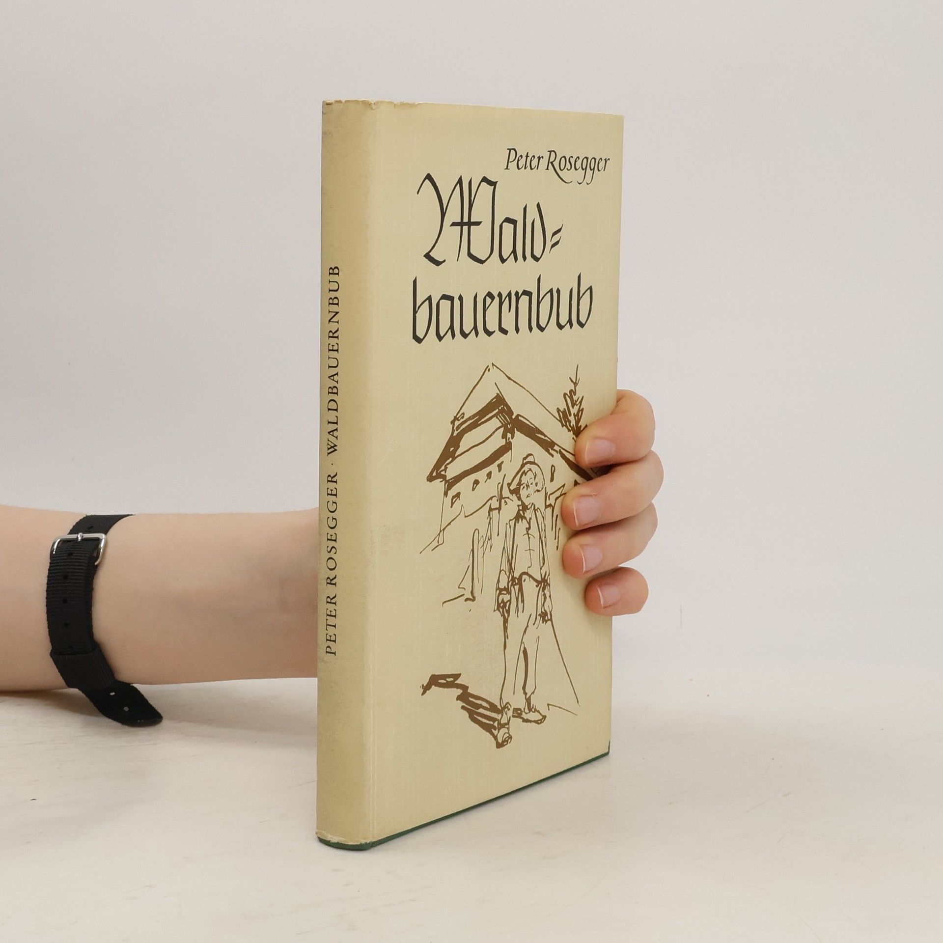 Peter Rosegger Kindheitwege des Waldbauernbuben