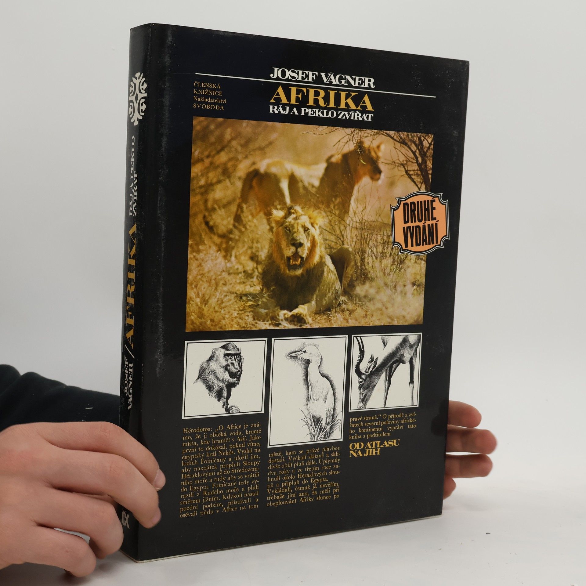 Josef Vágner Afrika. Ráj a peklo zvířat