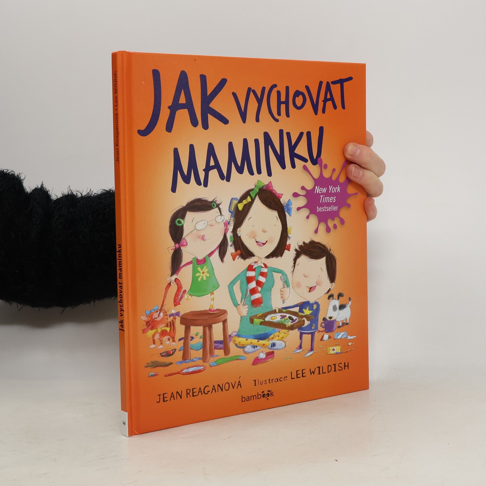 Jean Reagan Jak vychovat maminku