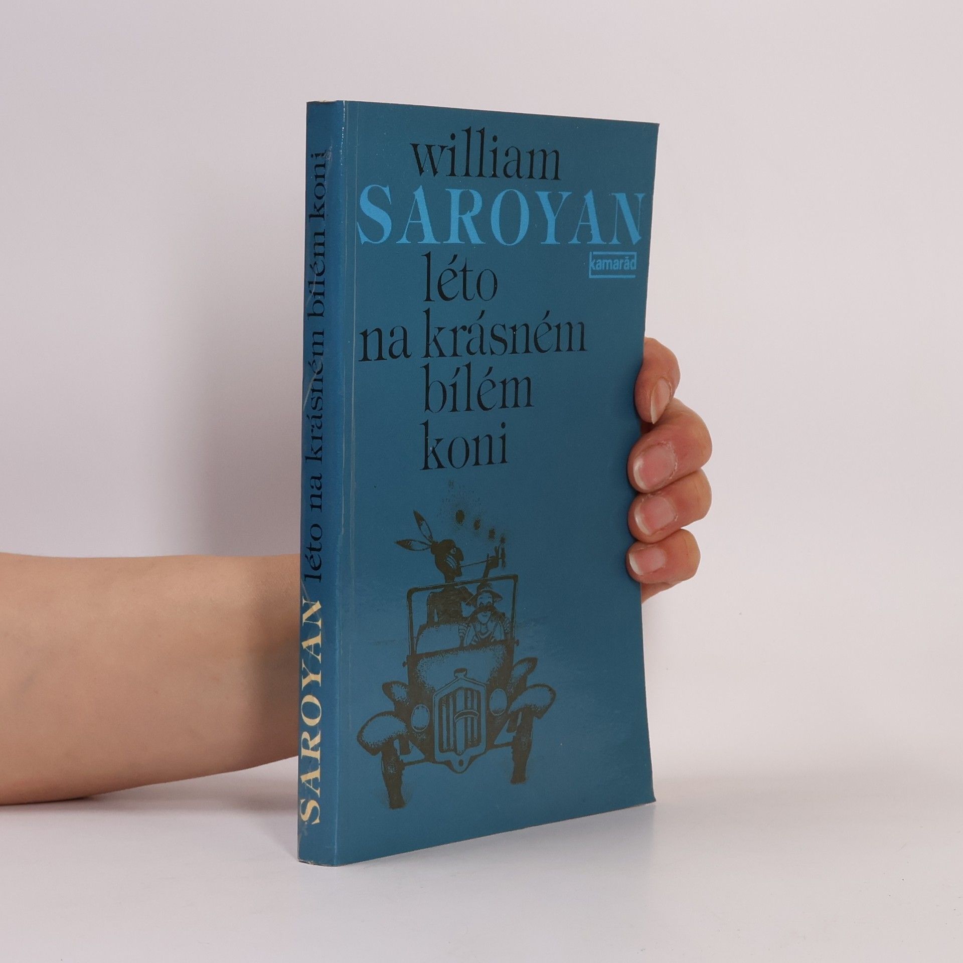 Léto na krásném bílém koni