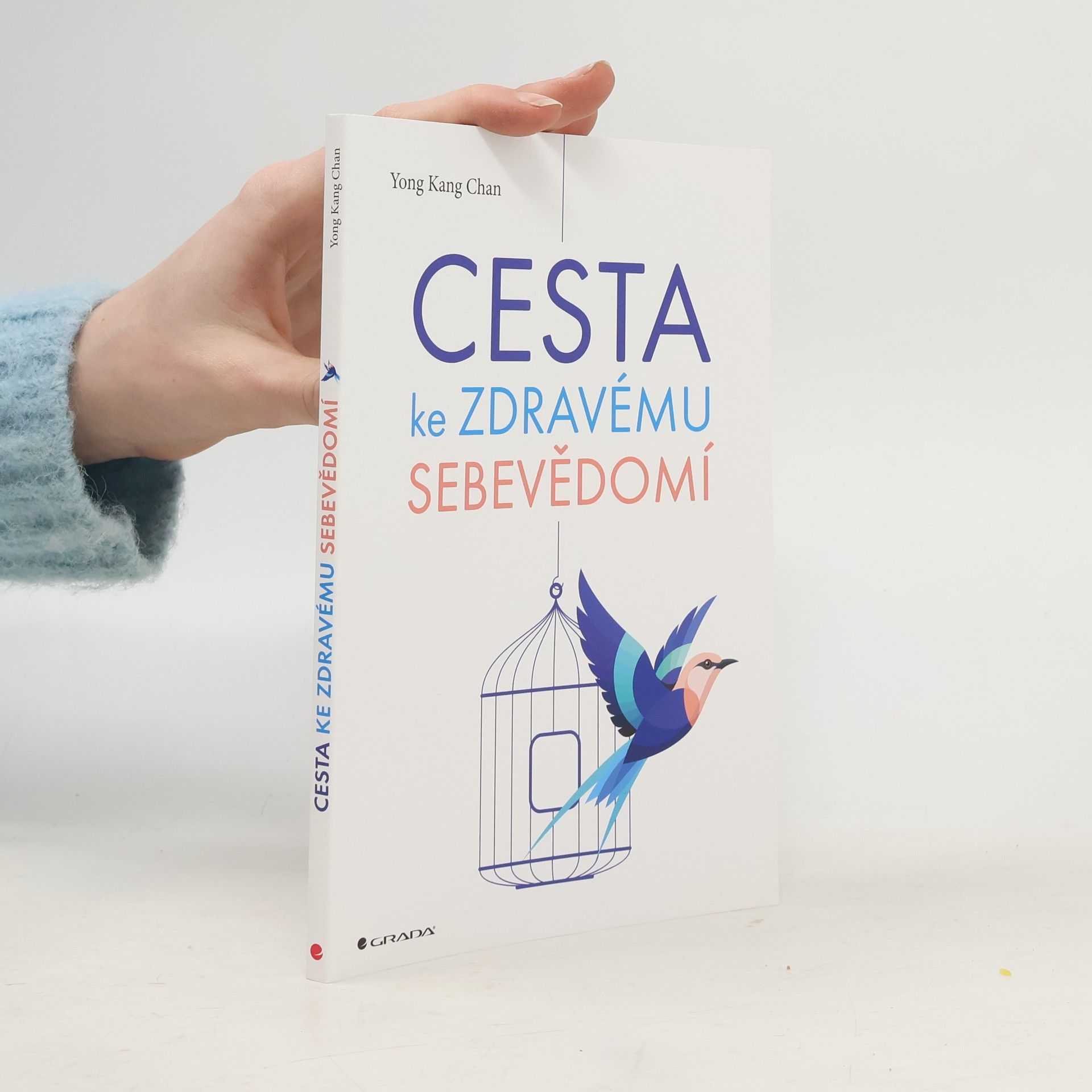 Yong Kang Chan Cesta ke zdravému sebevědomí