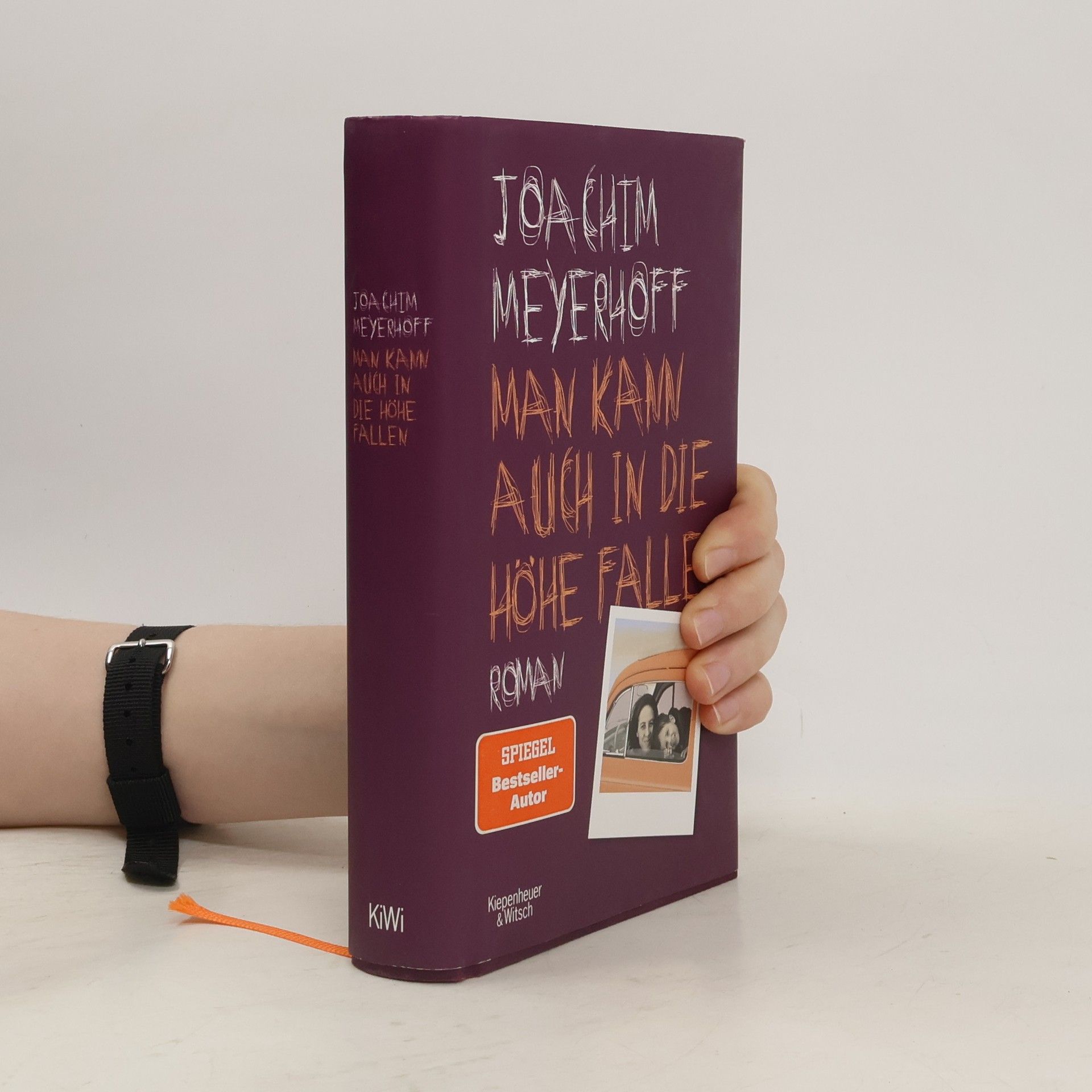 Joachim Meyerhoff Man kann auch in die Höhe fallen