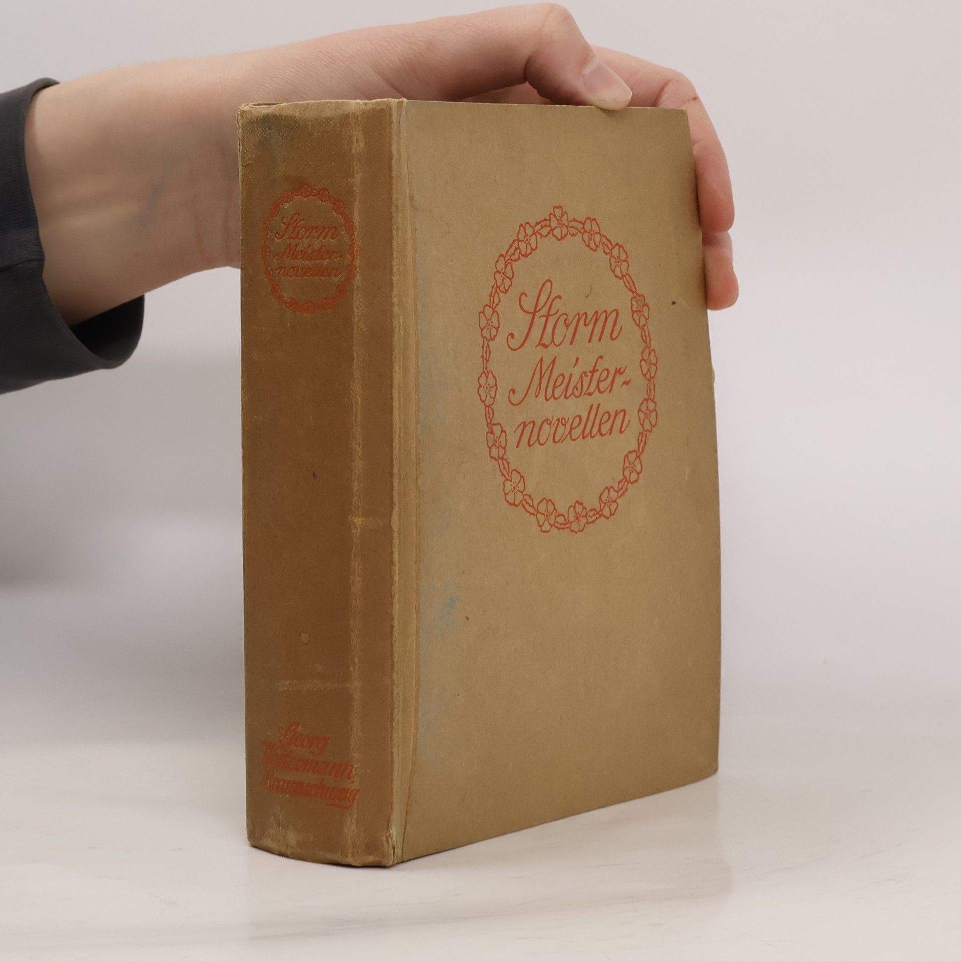 Theodor Storm Meisternovellen