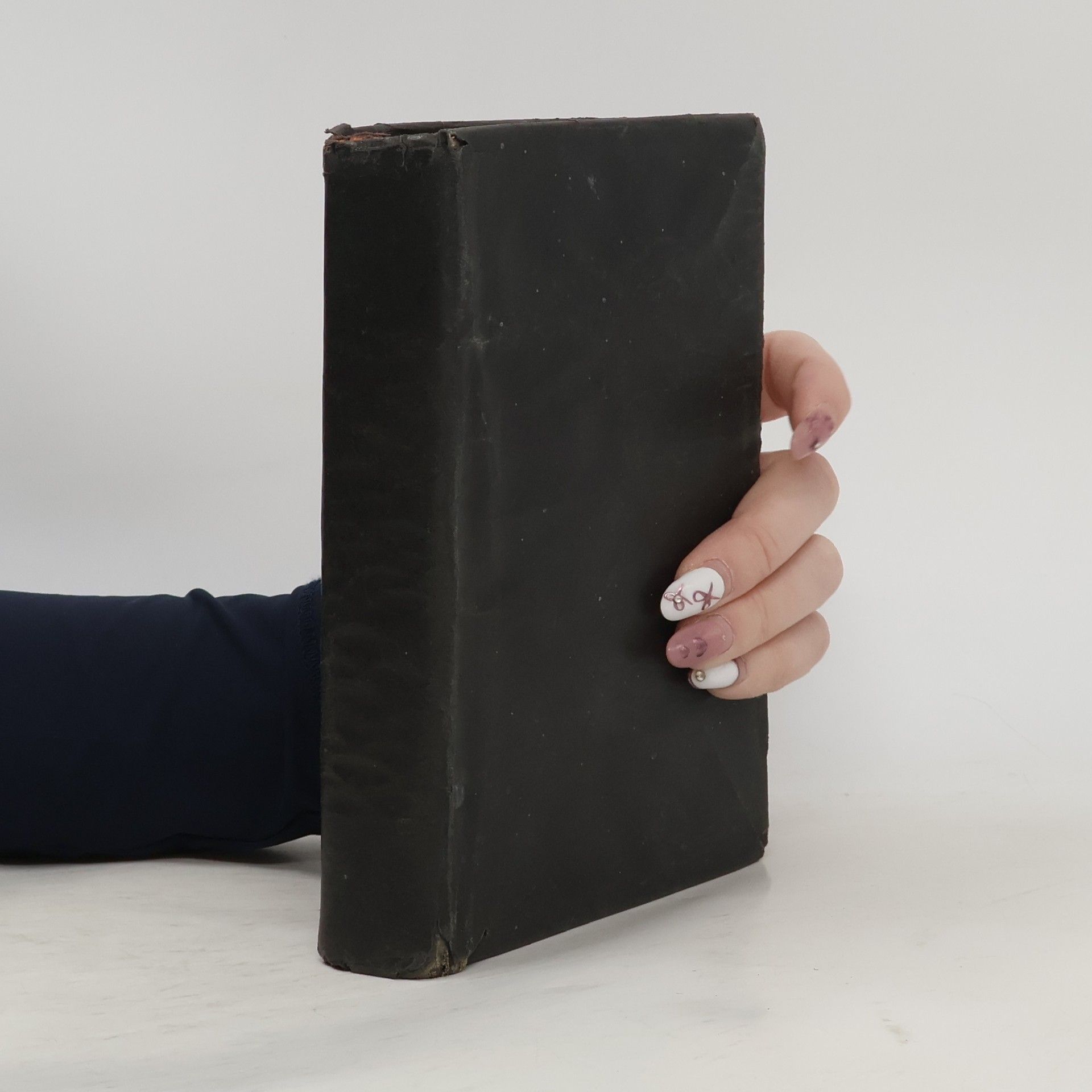 Kolektiv autorů Die Heilige Schrift