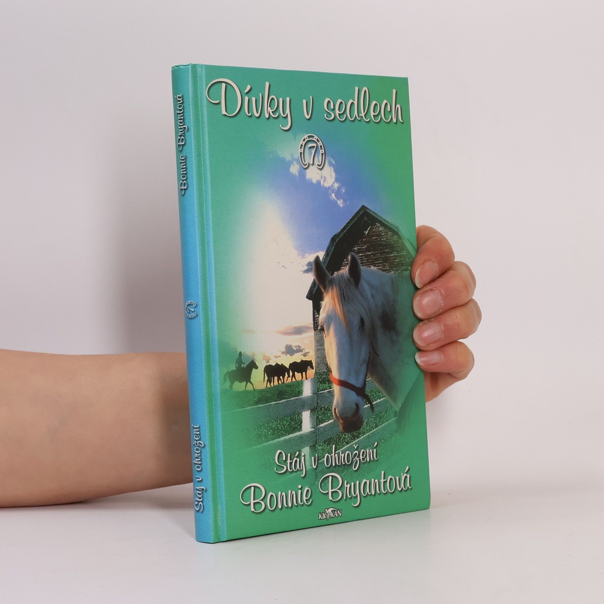 Bonnie Bryant Dívky v sedlech. 7, Stáj v ohrožení