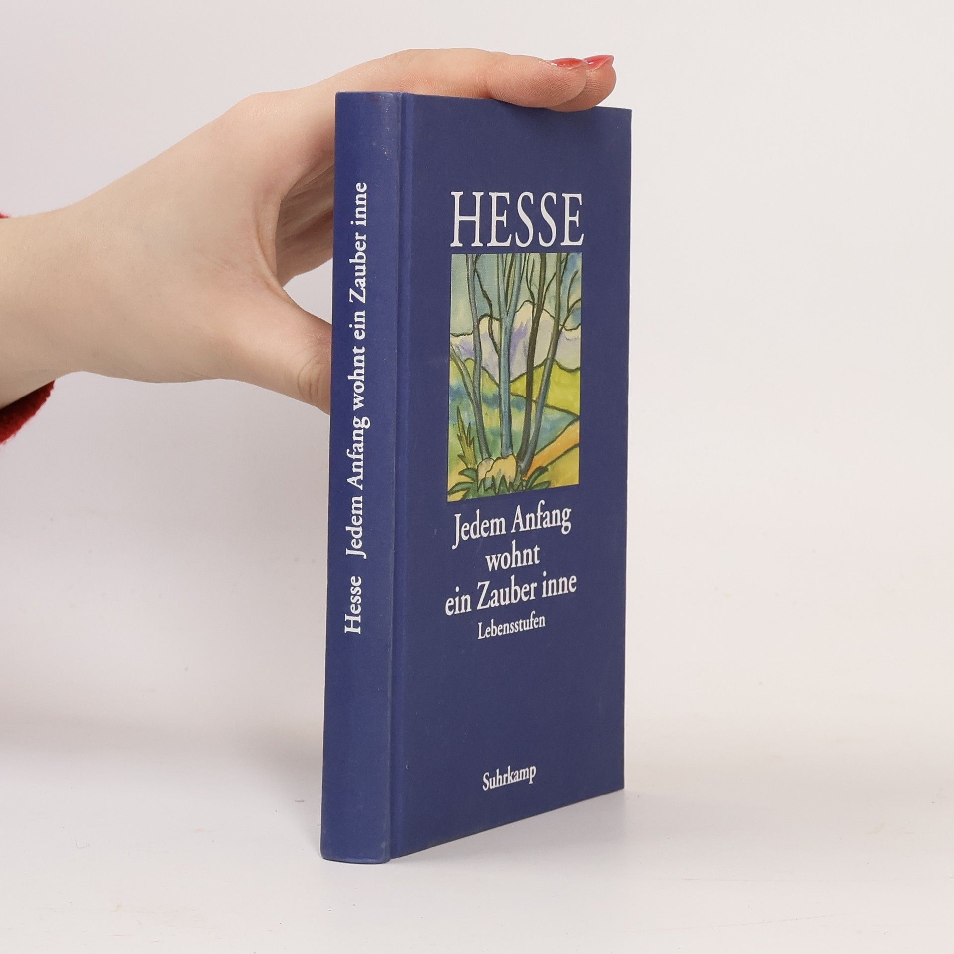 Hermann Hesse Jedem Anfang wohnt ein Zauber inne