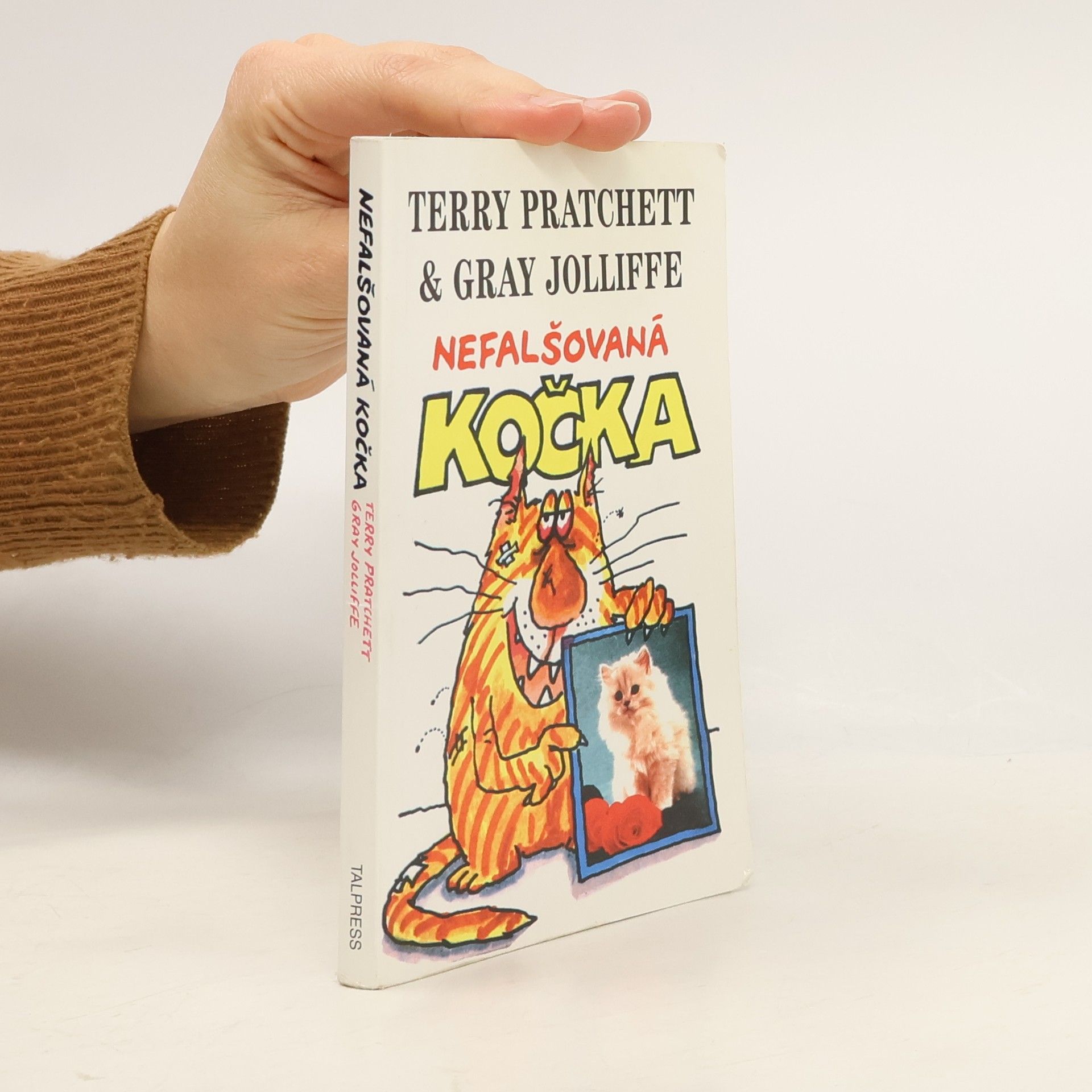 Terry Pratchett Nefalšovaná kočka