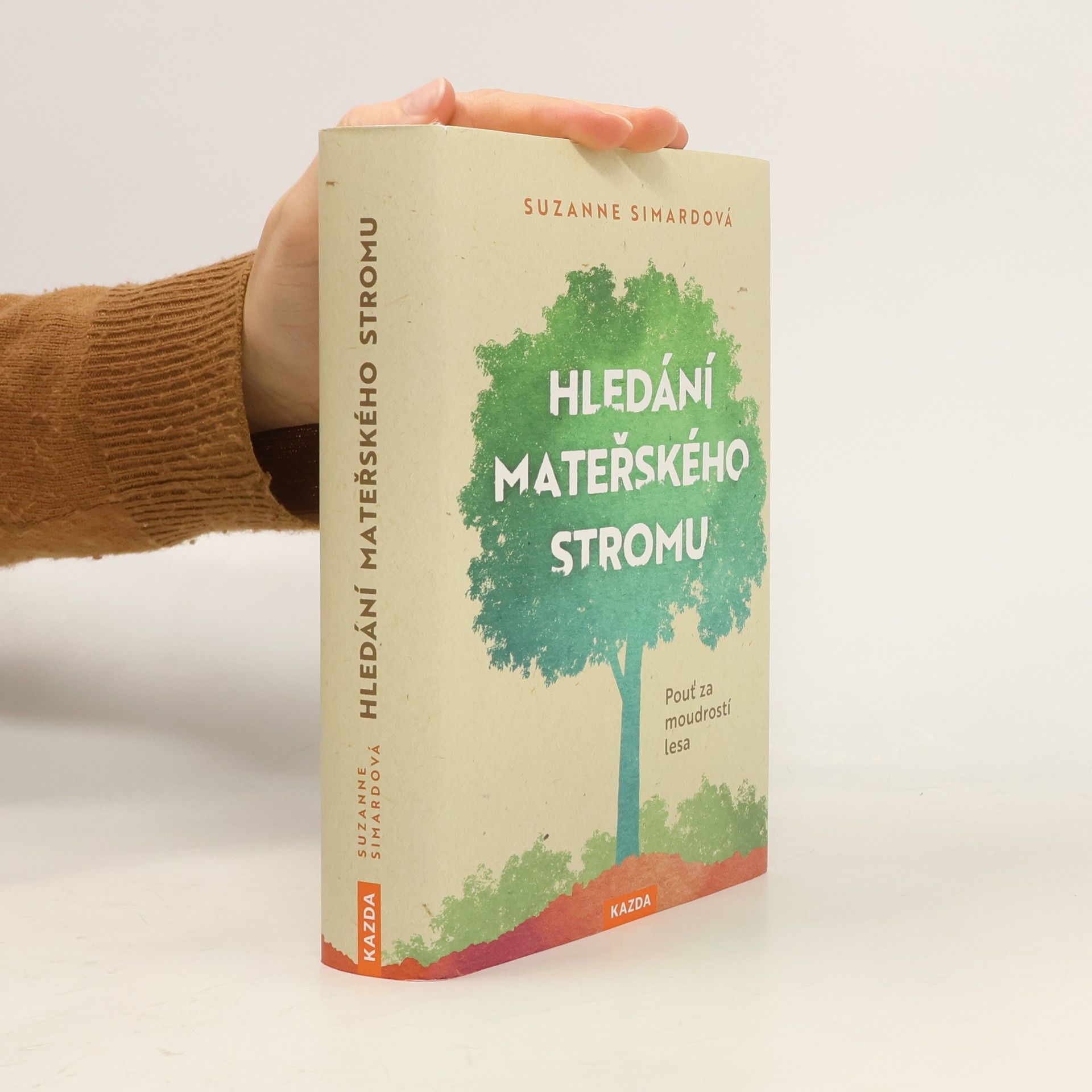 Hledání mateřského stromu